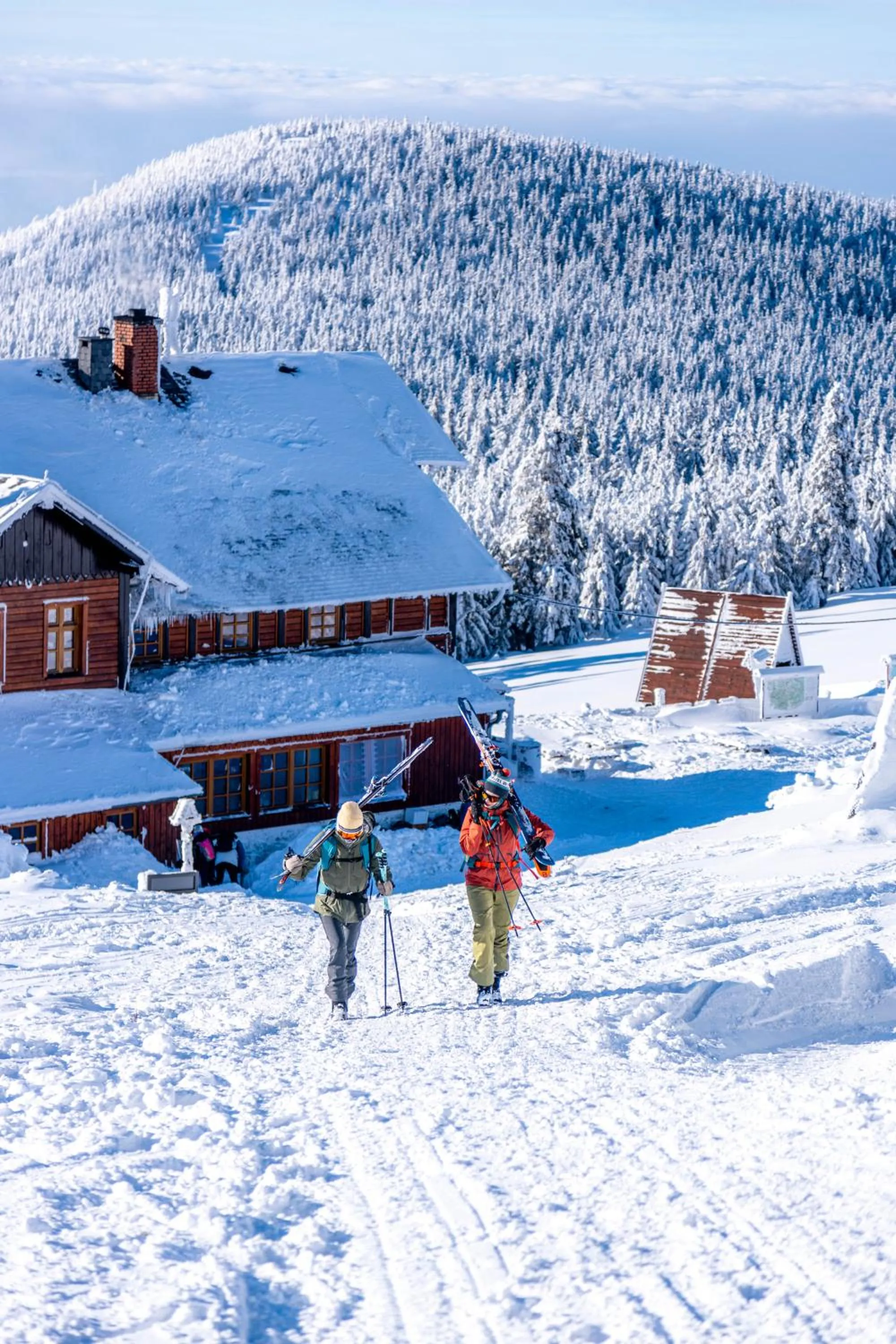 Property building in Holimo Hotel