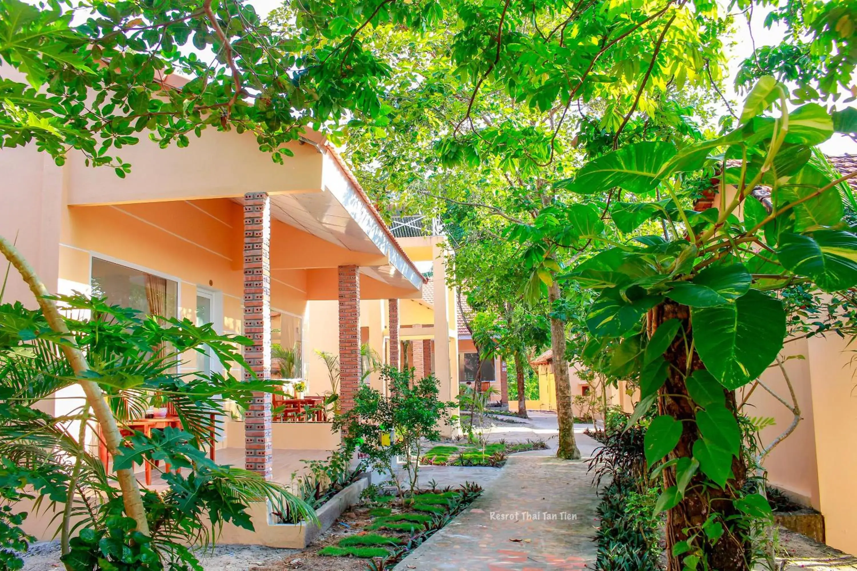 Bungalow with Garden View in Thai Tan Tien Hotel Bungalow with Garden View in Thai Tan Tien Hotel