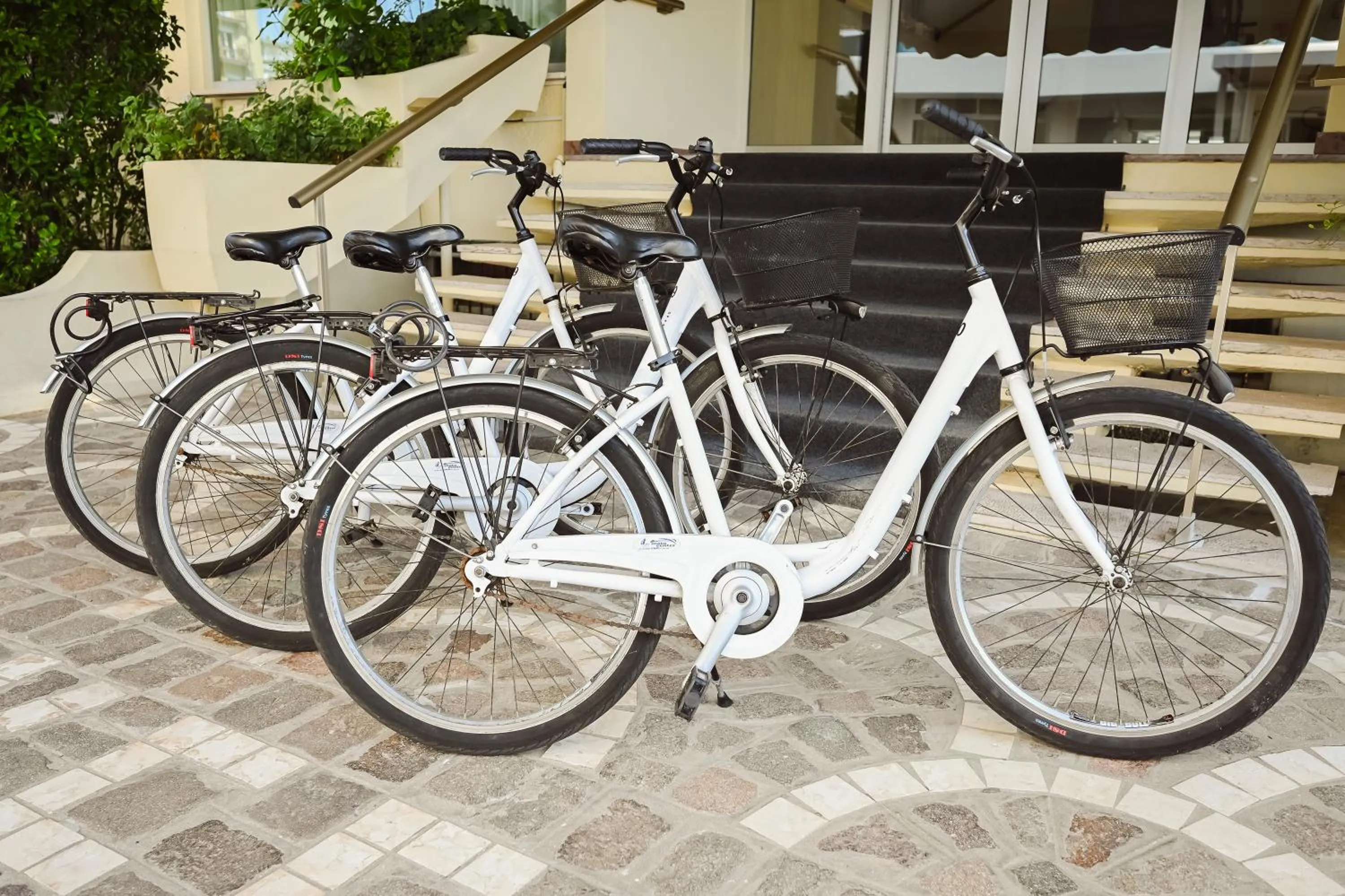 Sports in Hotel Las Vegas