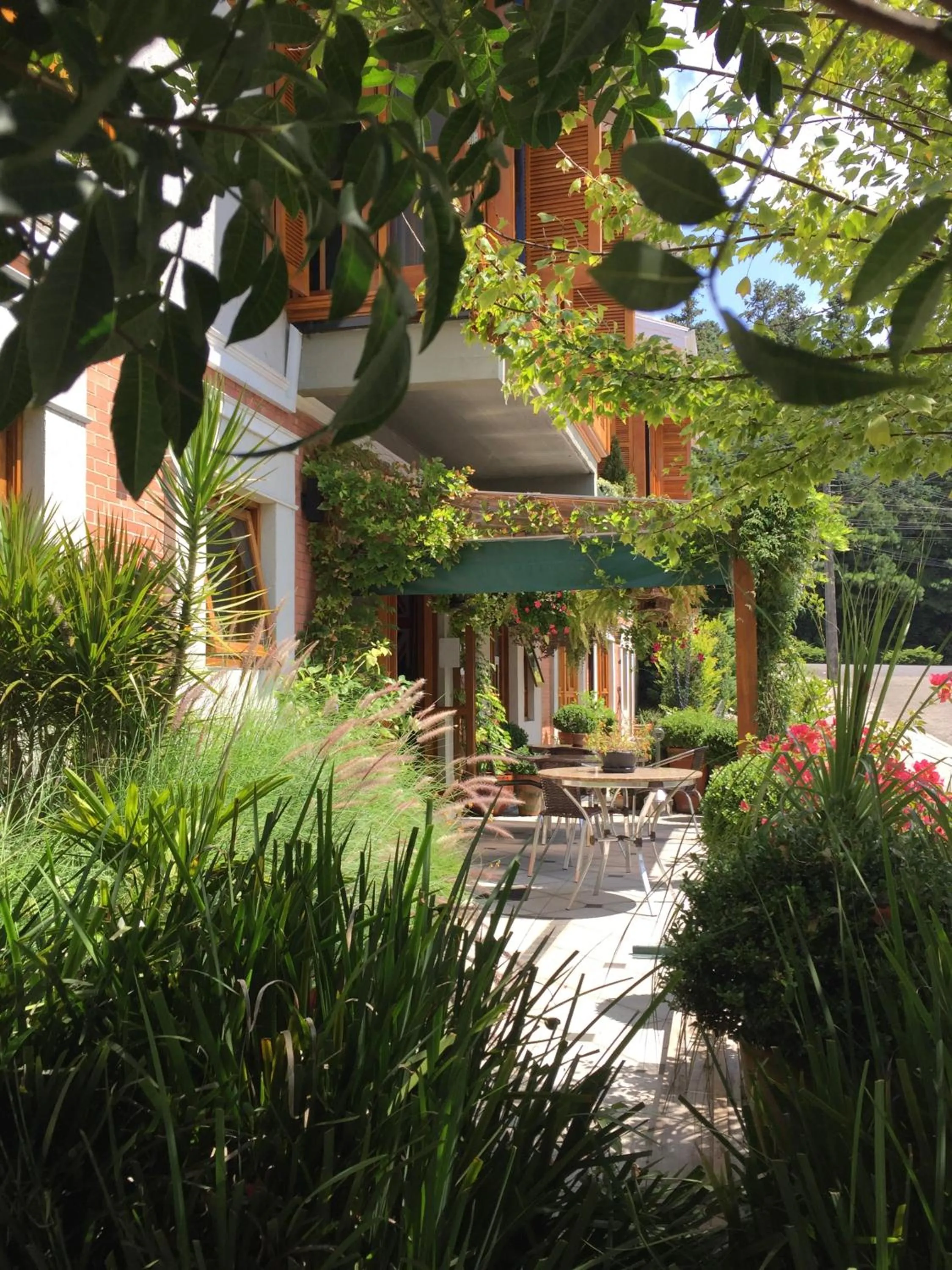 Natural landscape in Hotel Boutique Britanico