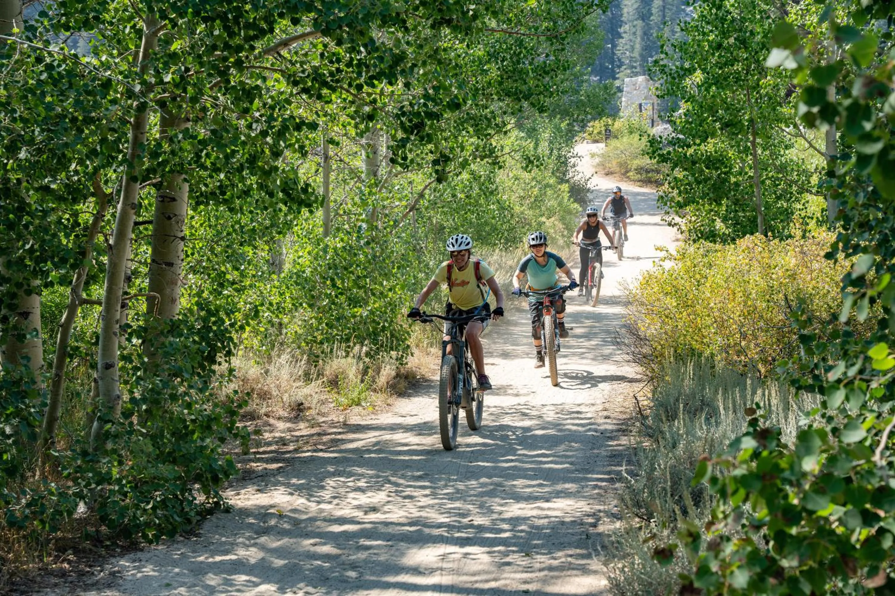 Activities in The Incline Lodge