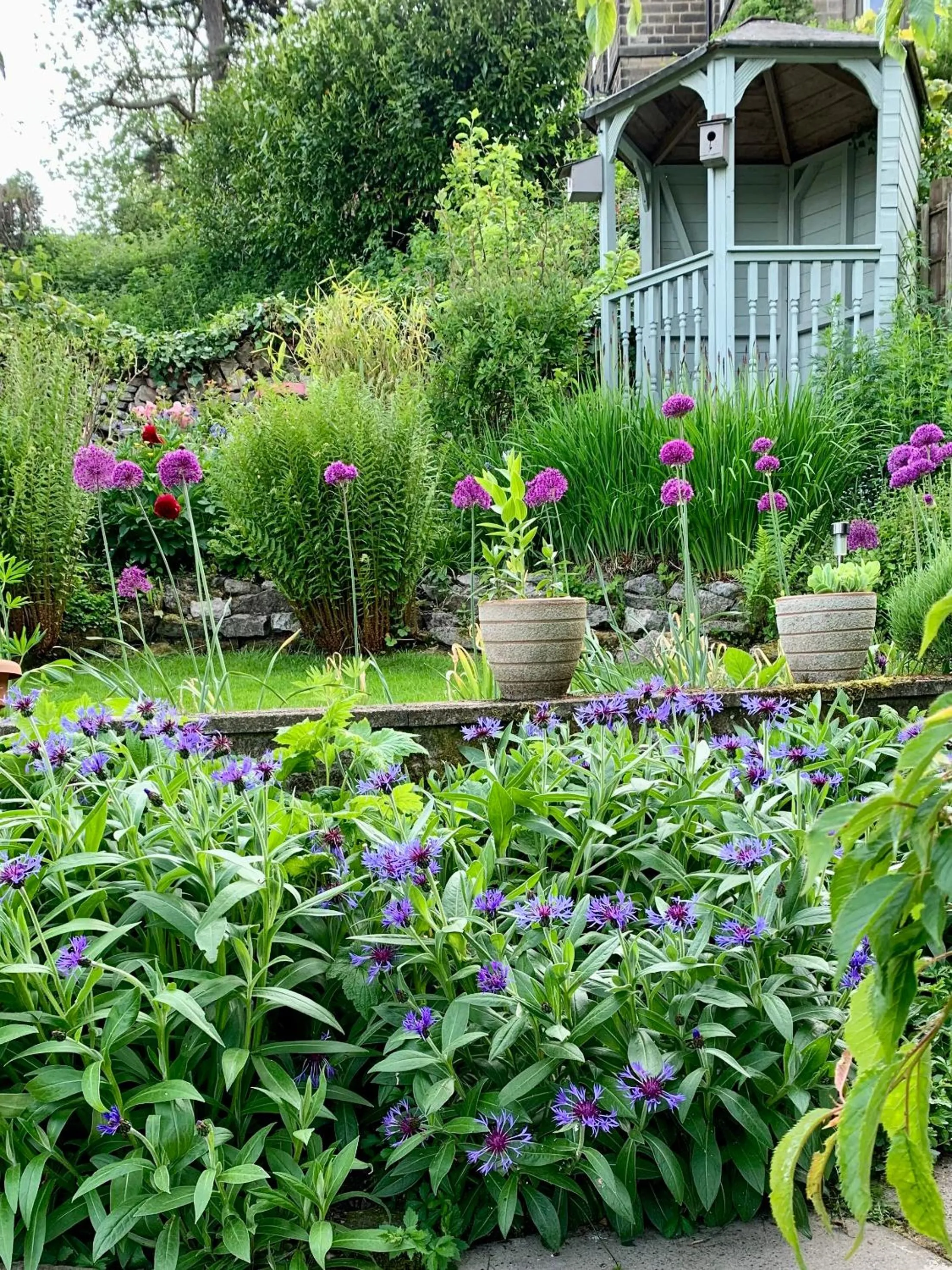 Garden in Ellen House Bed and Breakfast