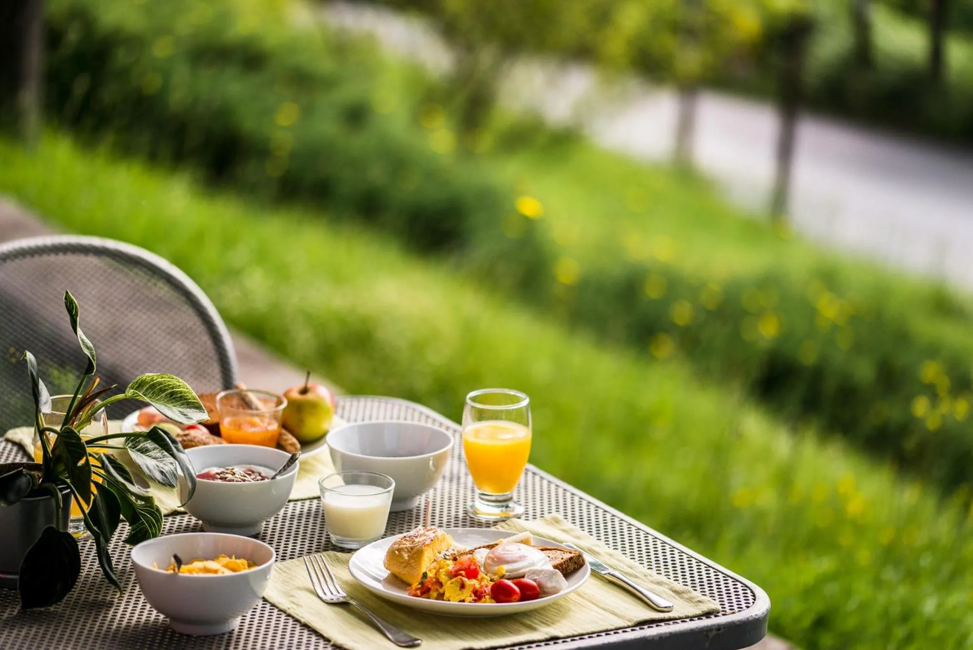 Food and drinks in Gefiri Plakas Hotel, Tzoumerka