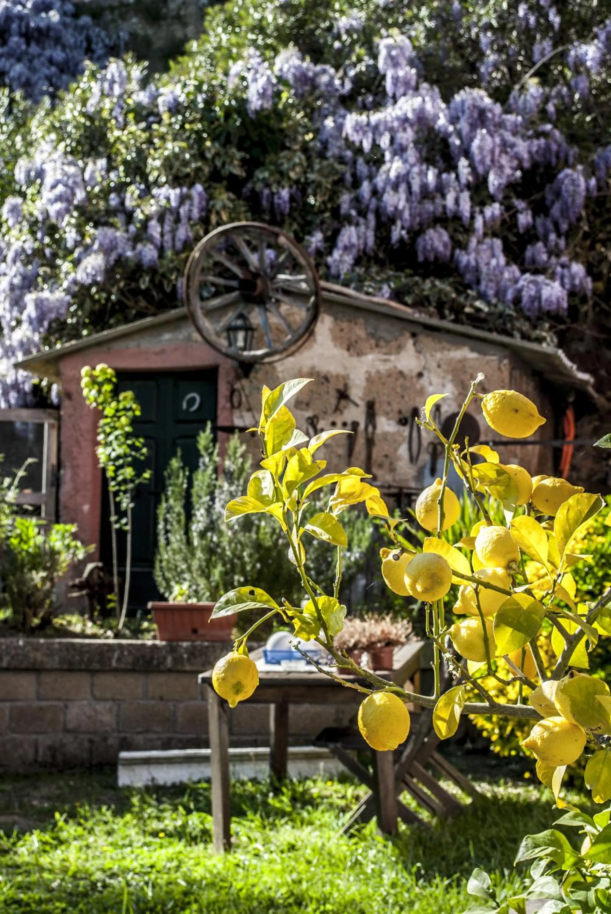 Property building in La Casa dei Carrai