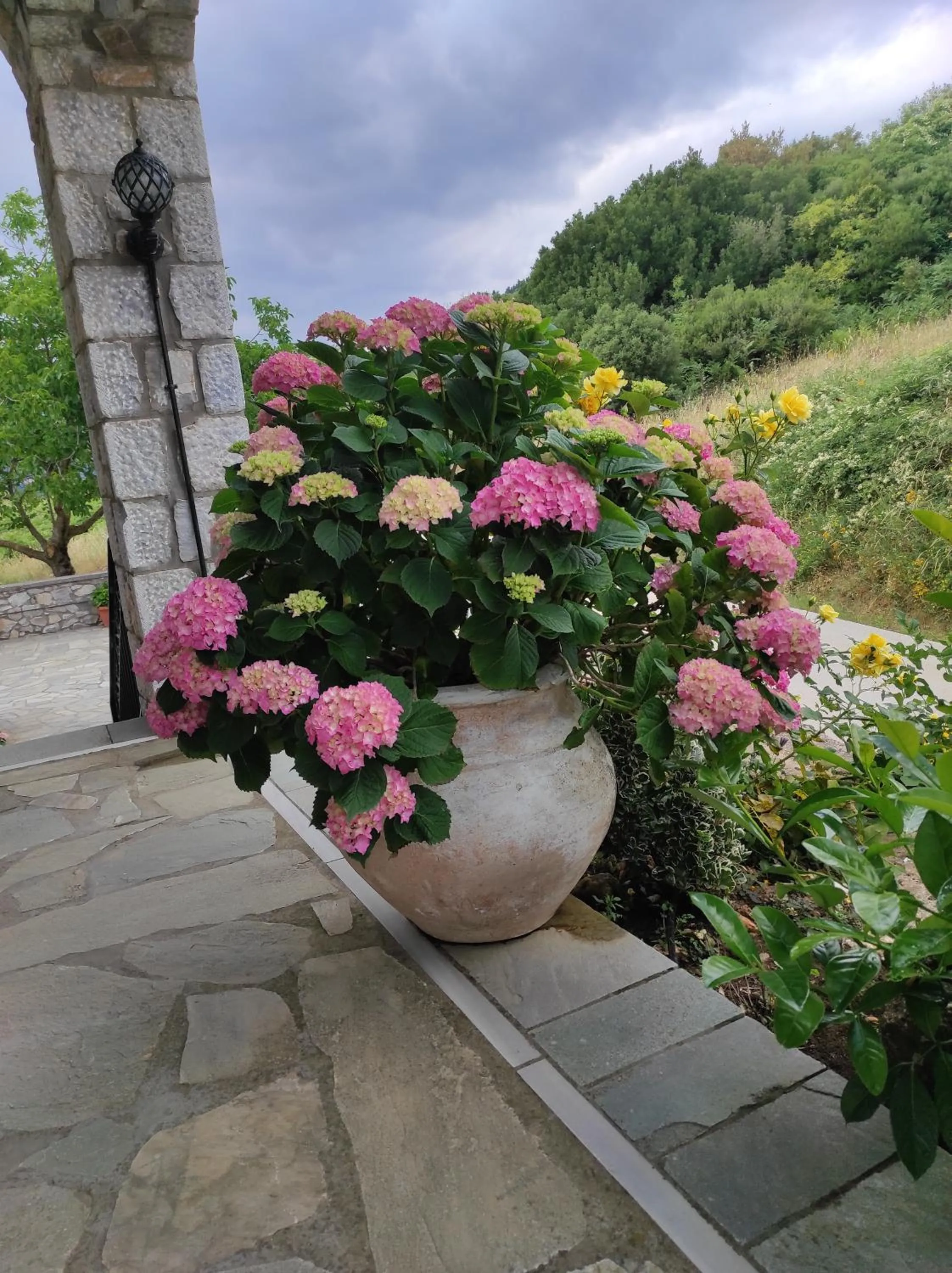 Day in Ξενώνας Ουρανογείτων