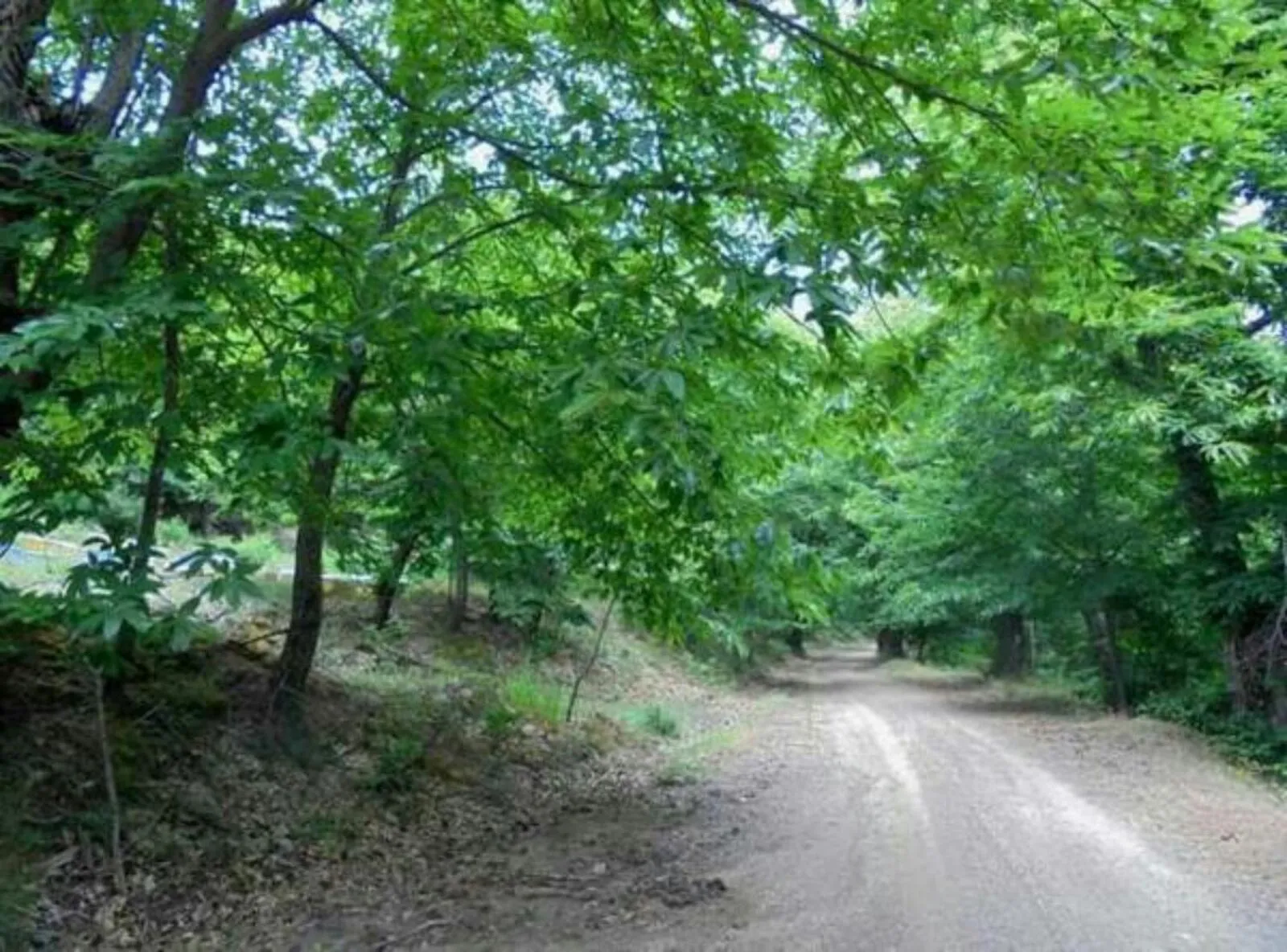 Natural landscape in Ξενώνας Ουρανογείτων