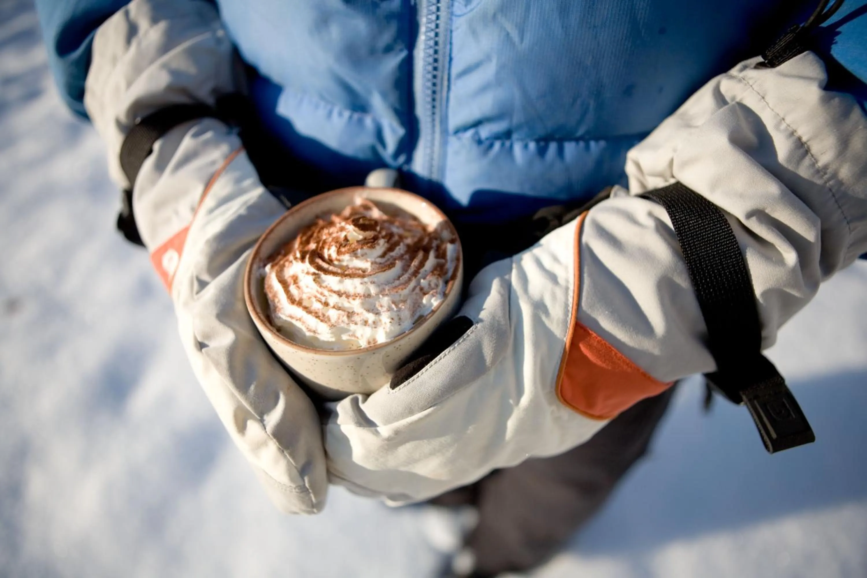 Guests in Chalet Tissières
