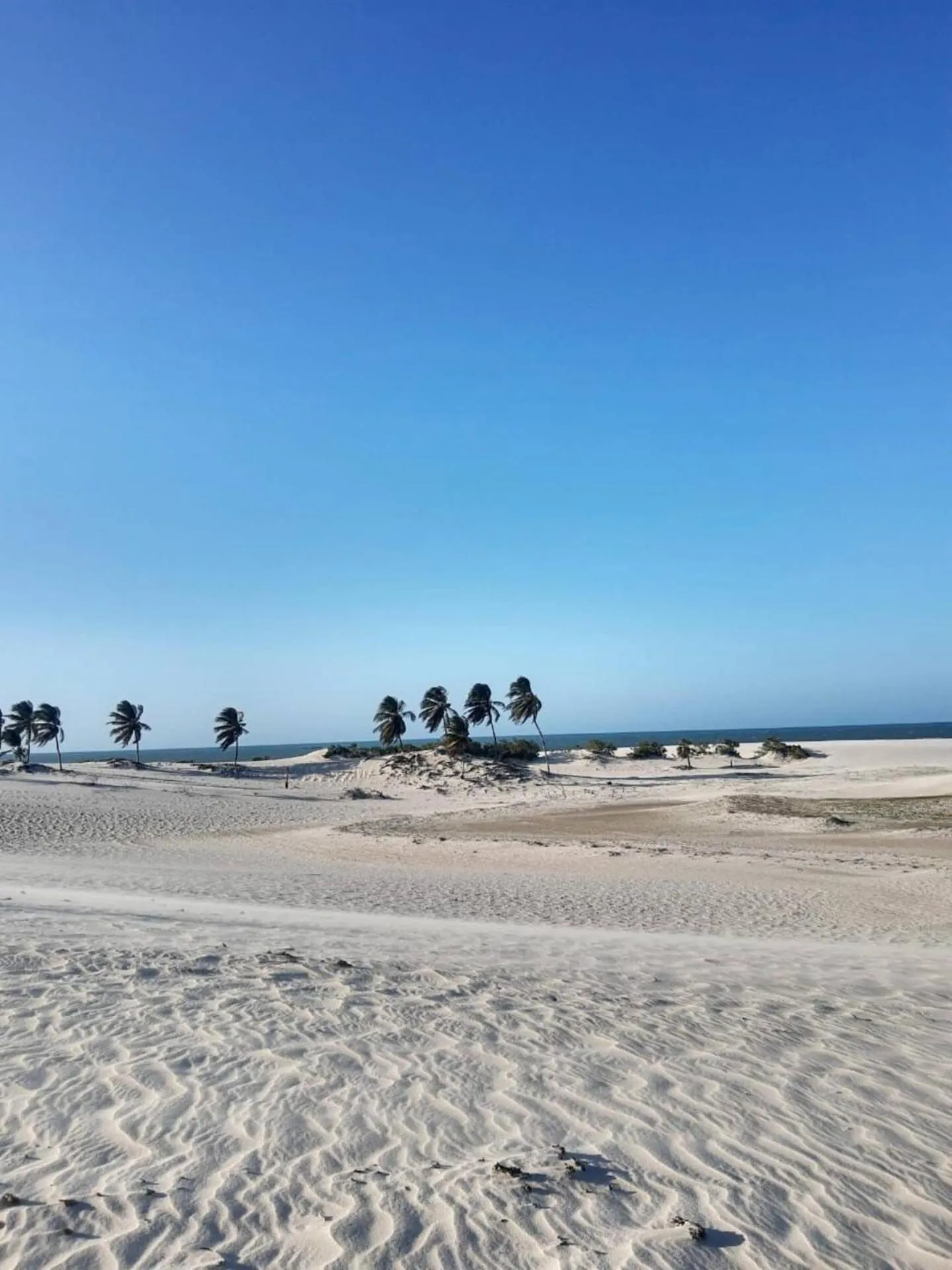 Off site in Chalés Caminho dos Ventos em Barrinha de Baixo, CE, 9km do Preá