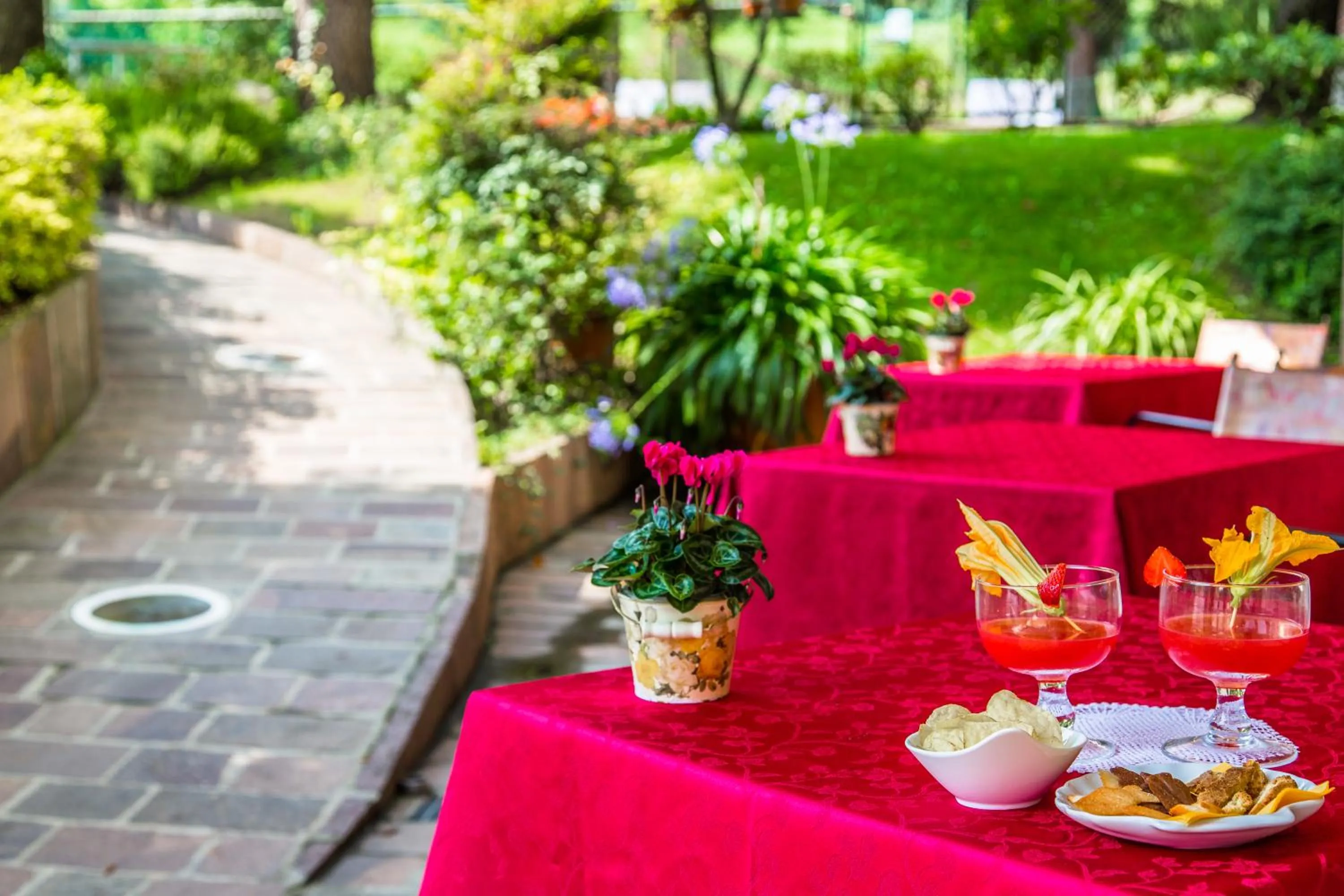 Garden in Hotel Tegorzo