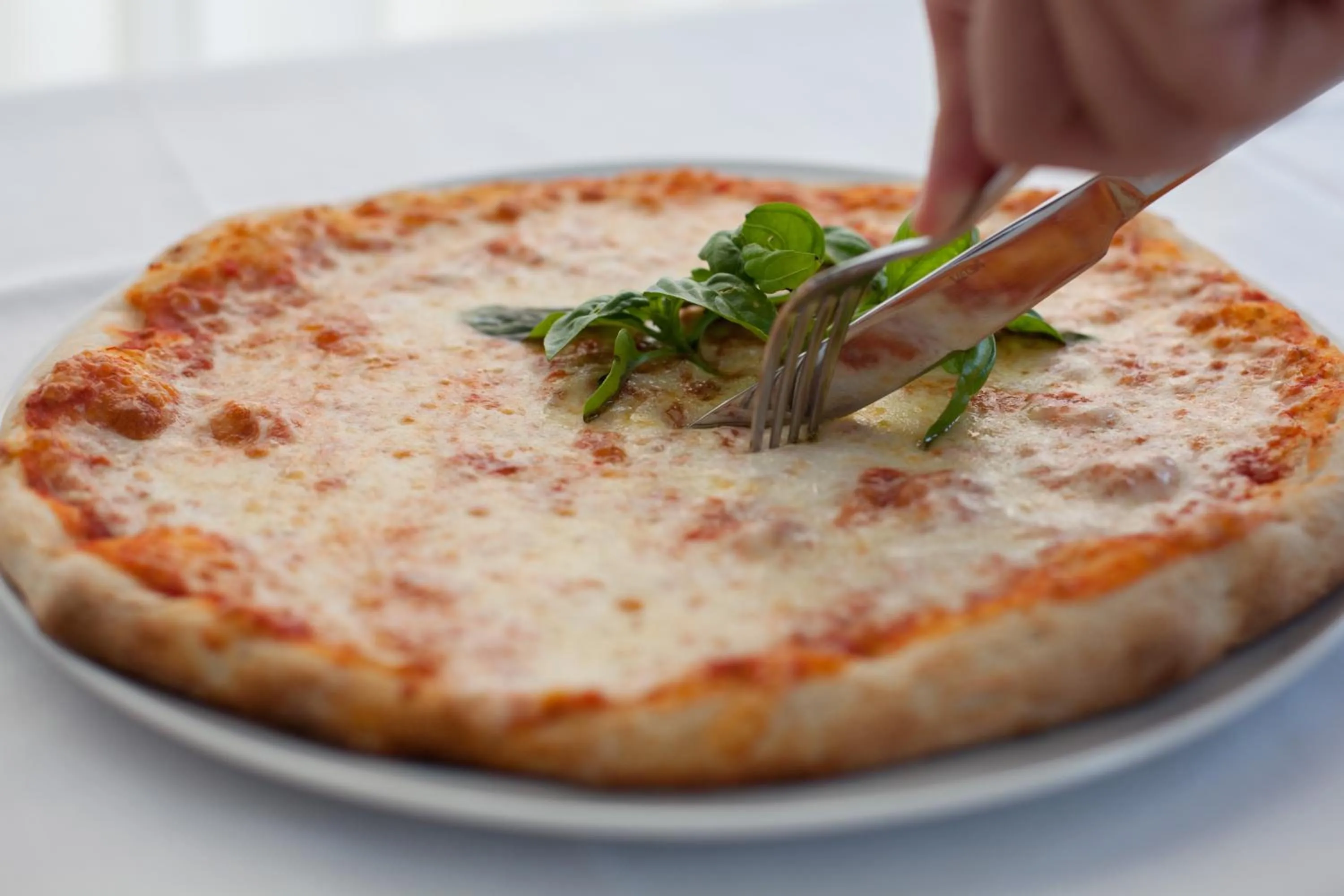 Food close-up in Hotel Montemezzi