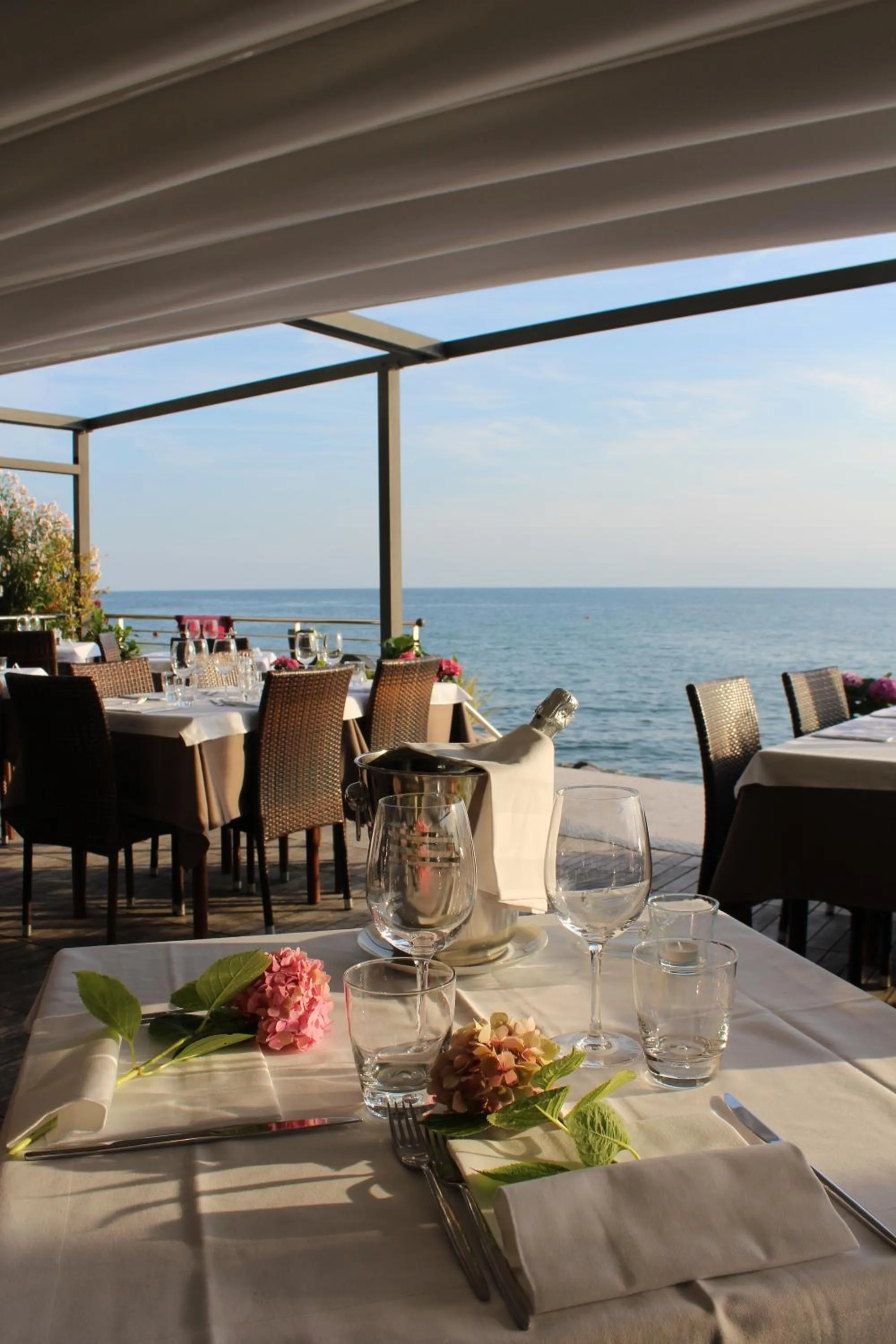 Balcony/Terrace in Hotel Marea