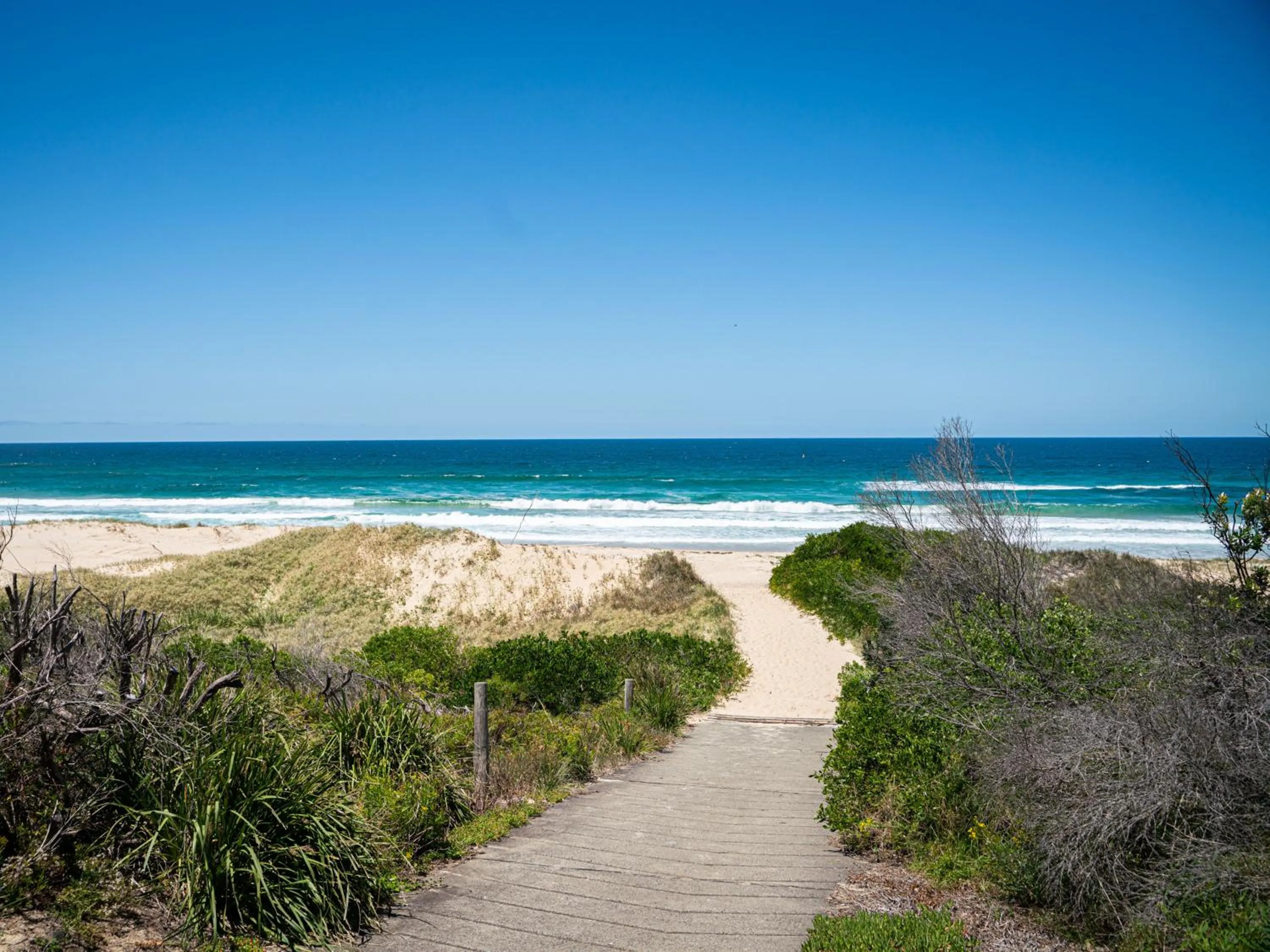 Natural landscape in Mounties @ Sussex