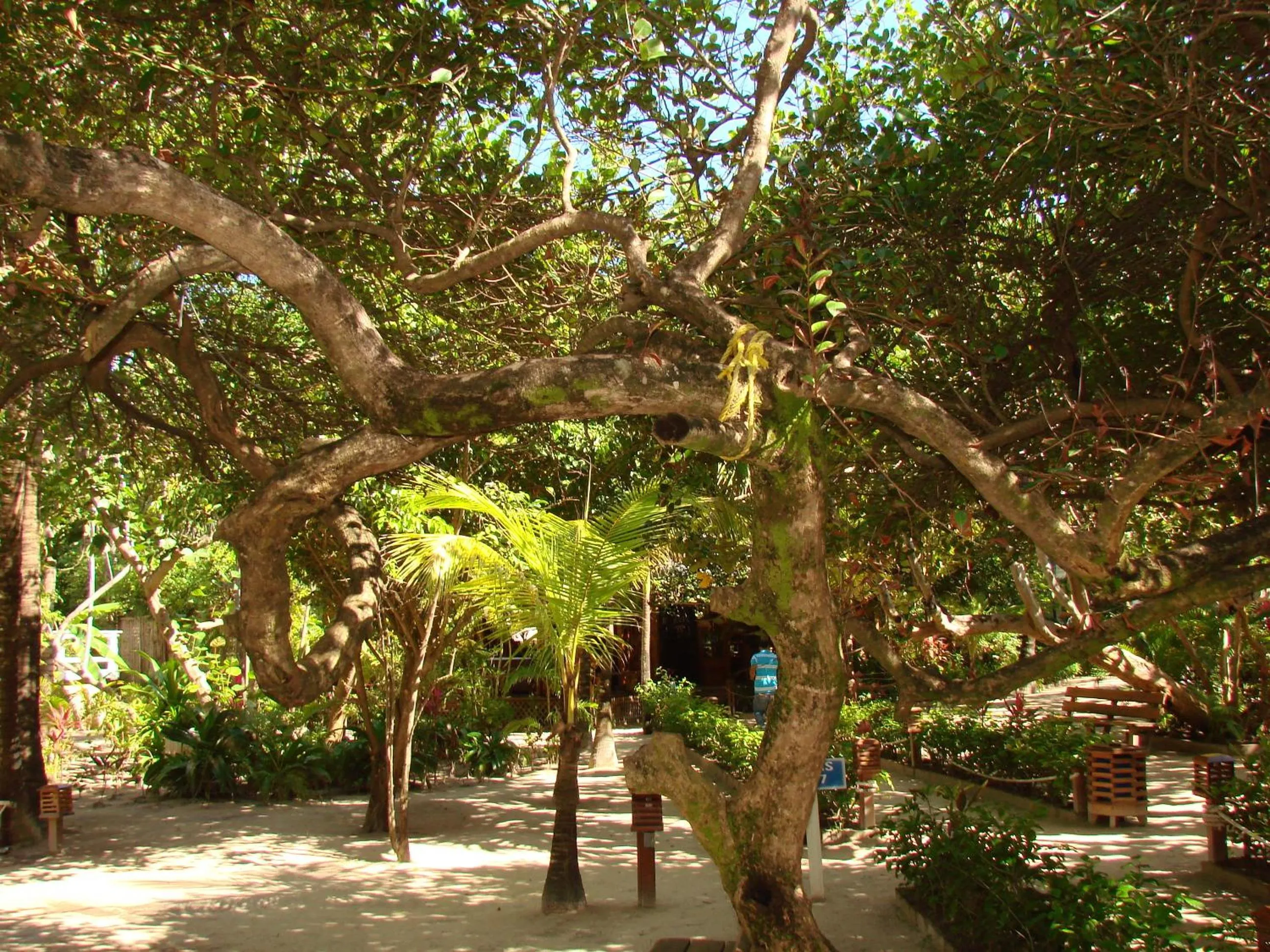 Garden in Paradise Beach Hotel & Resort