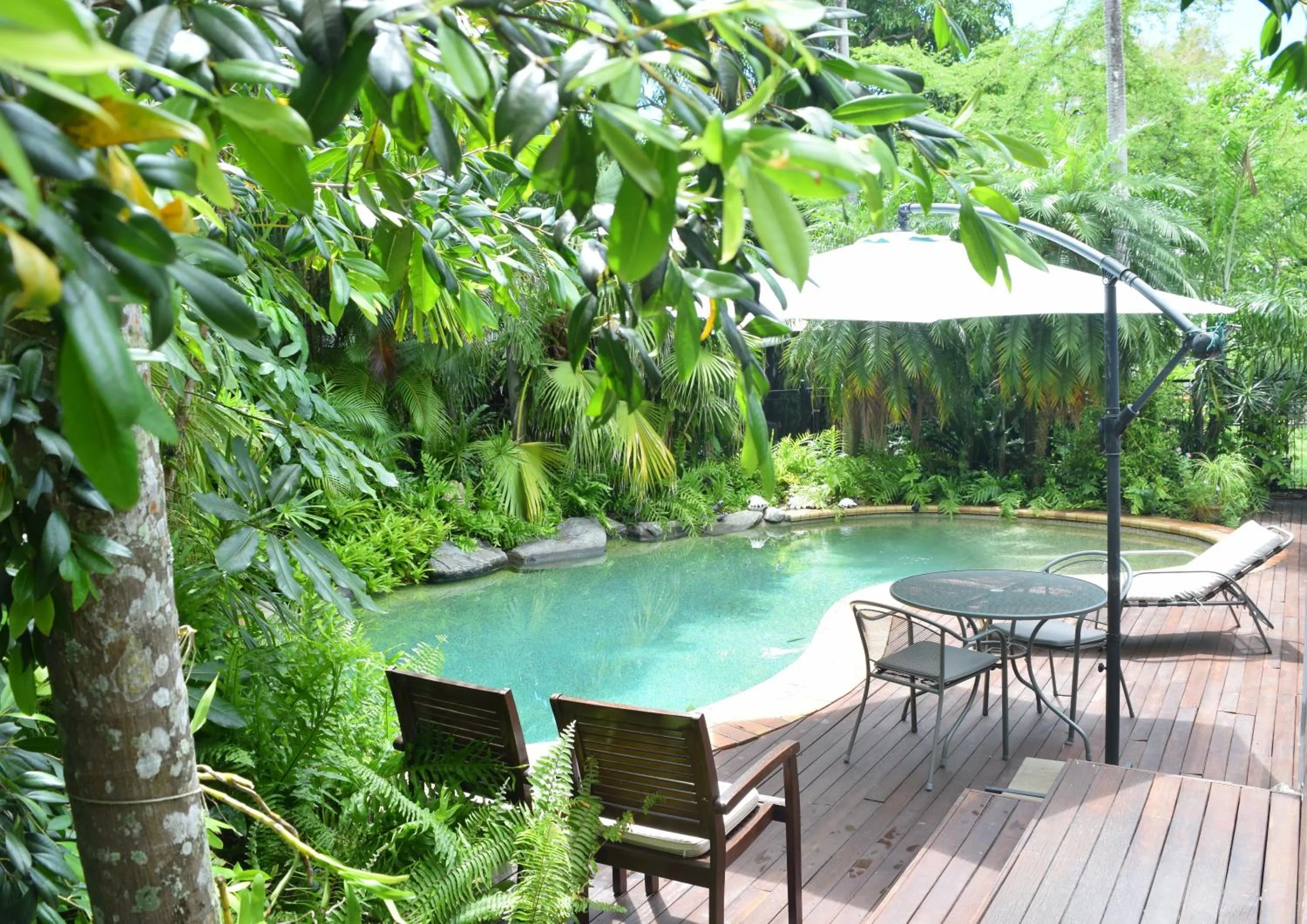 Swimming pool in South Pacific Bed & Breakfast