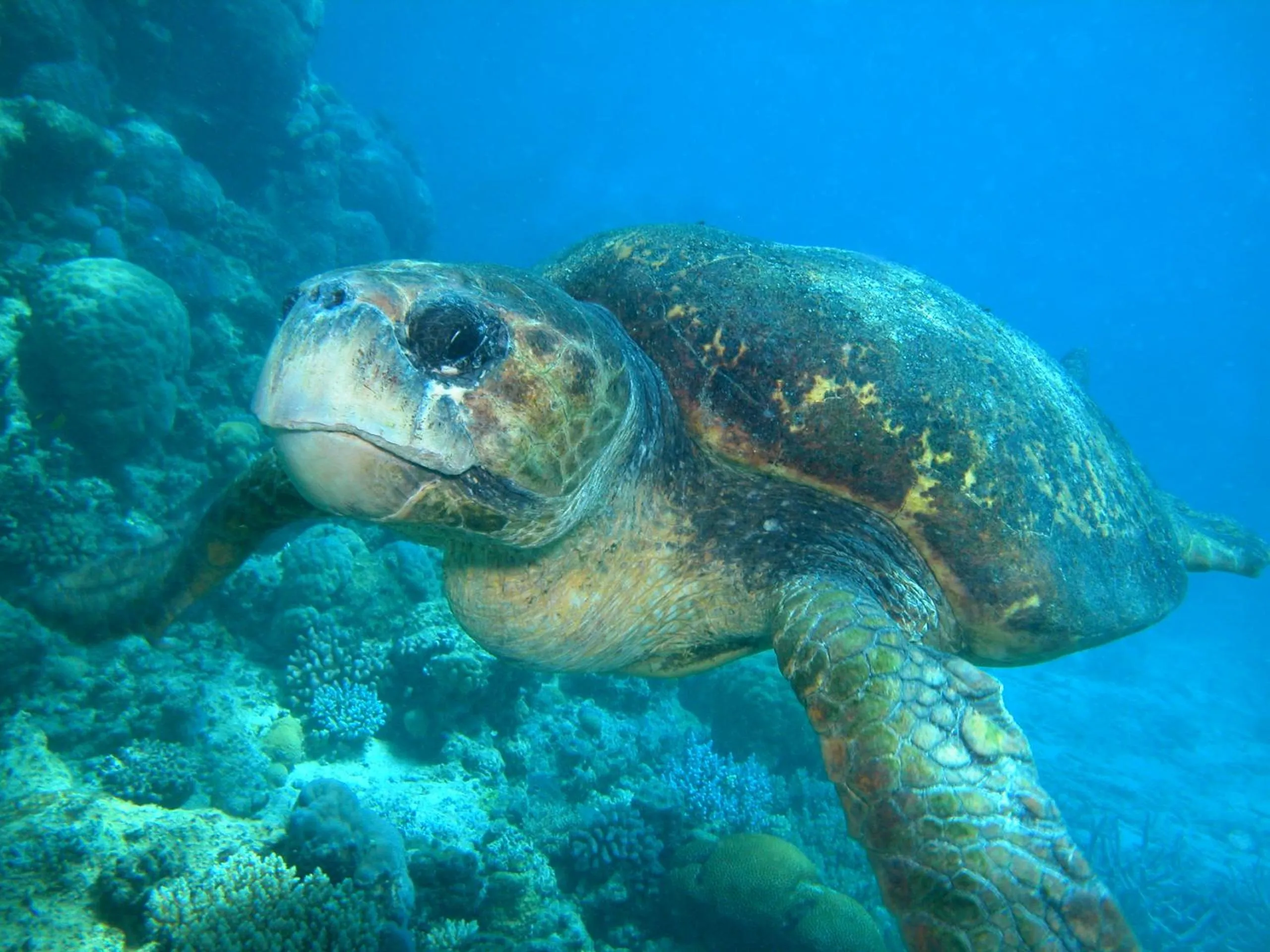 South Pacific Bed & Breakfast