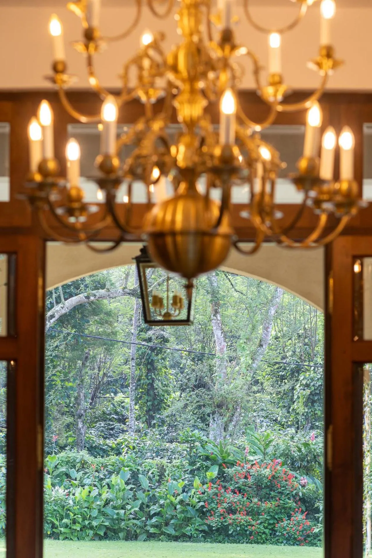 Garden view in Kandy Dendrobium House