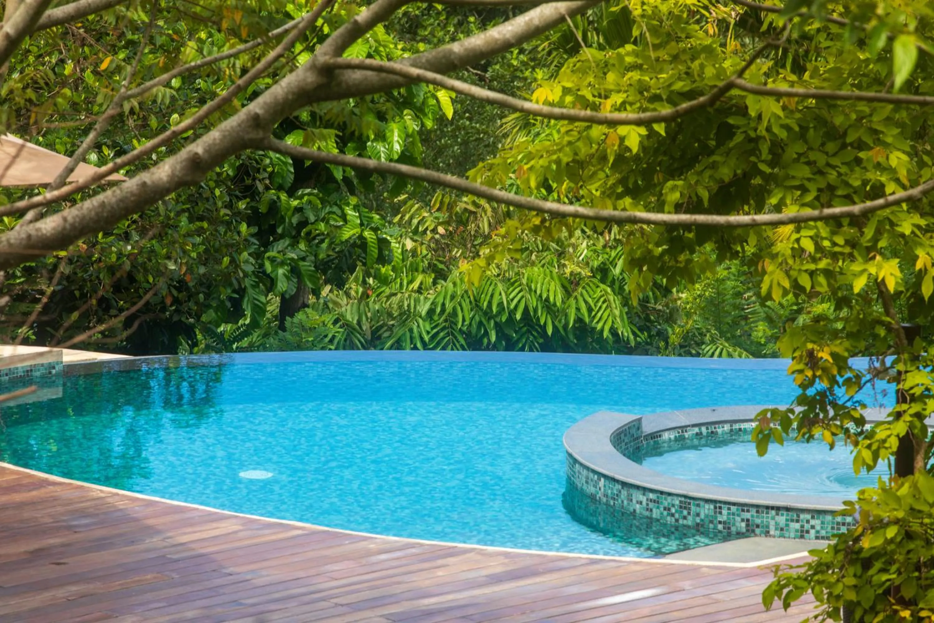 Pool view in Kandy Dendrobium House