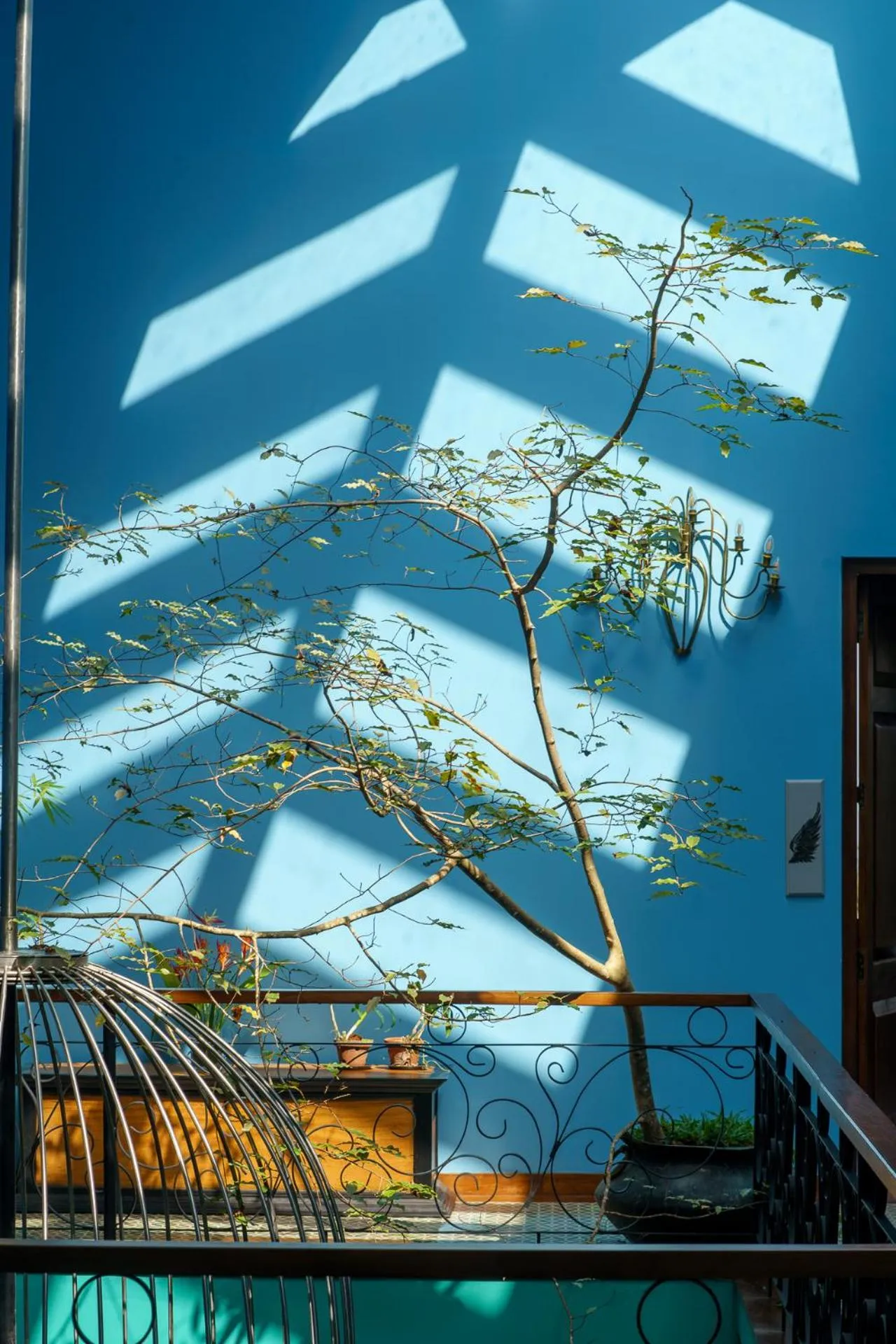 Property building in Kandy Dendrobium House