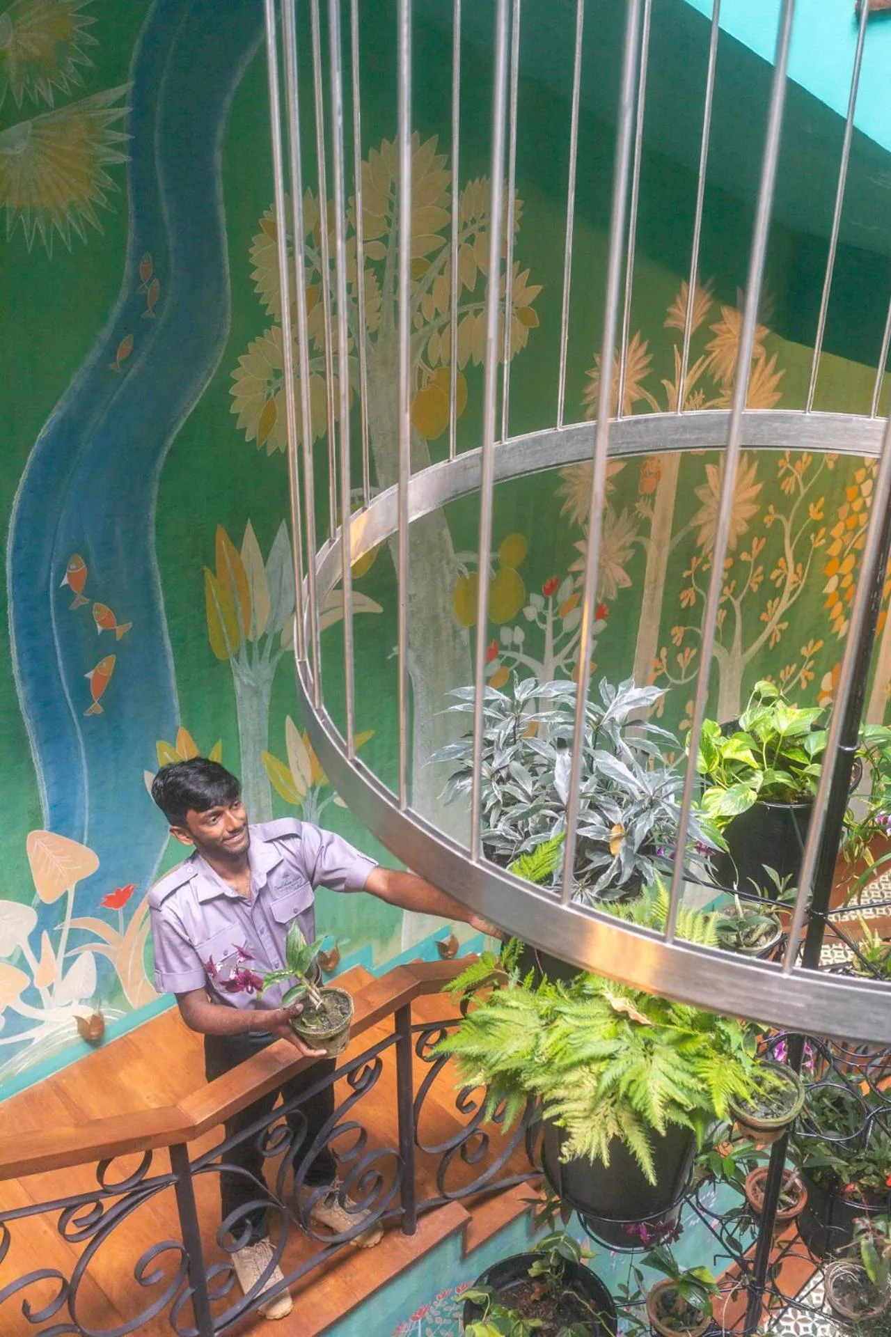 Property building in Kandy Dendrobium House