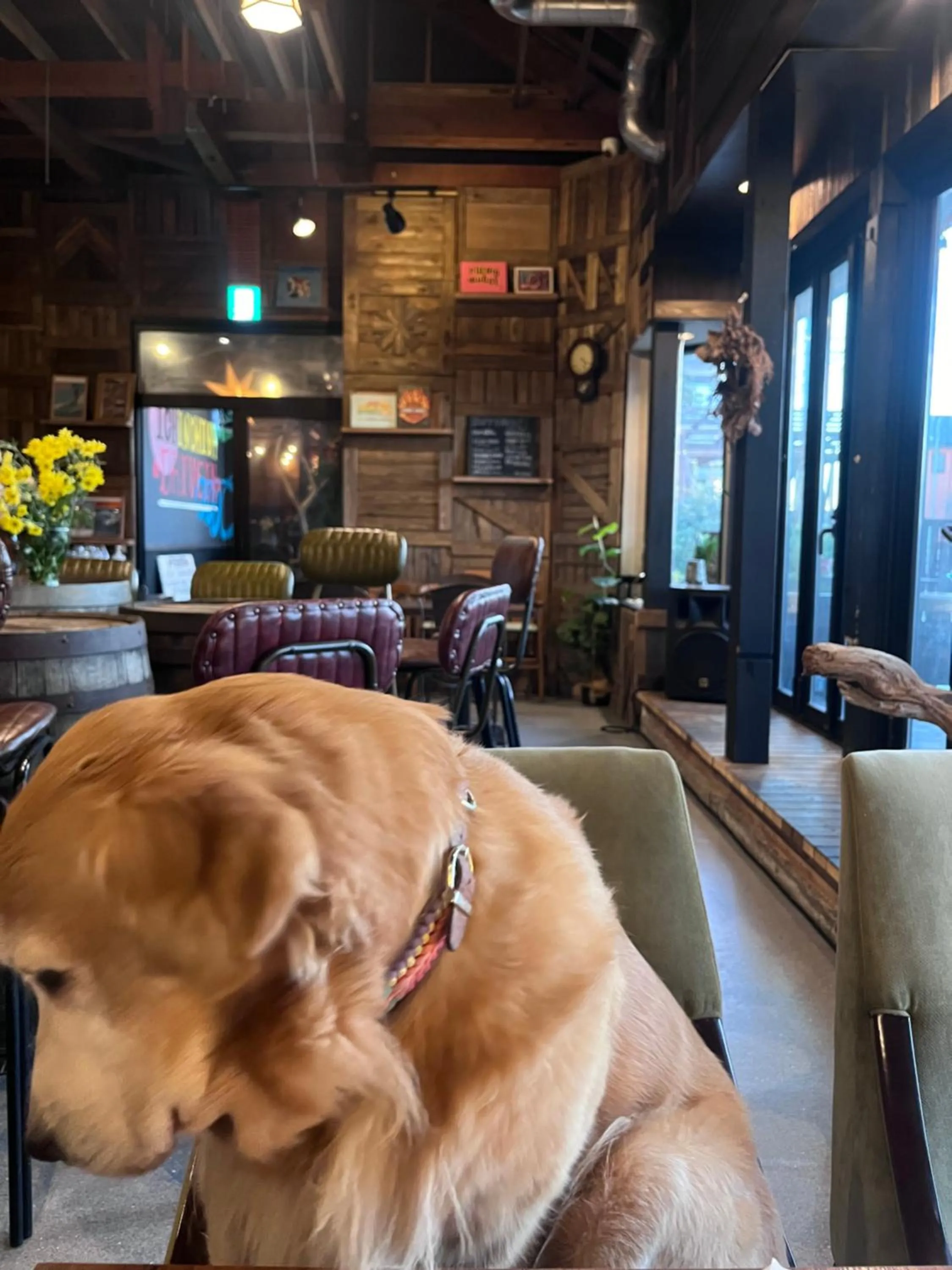 Drive in Ichinomiya motel