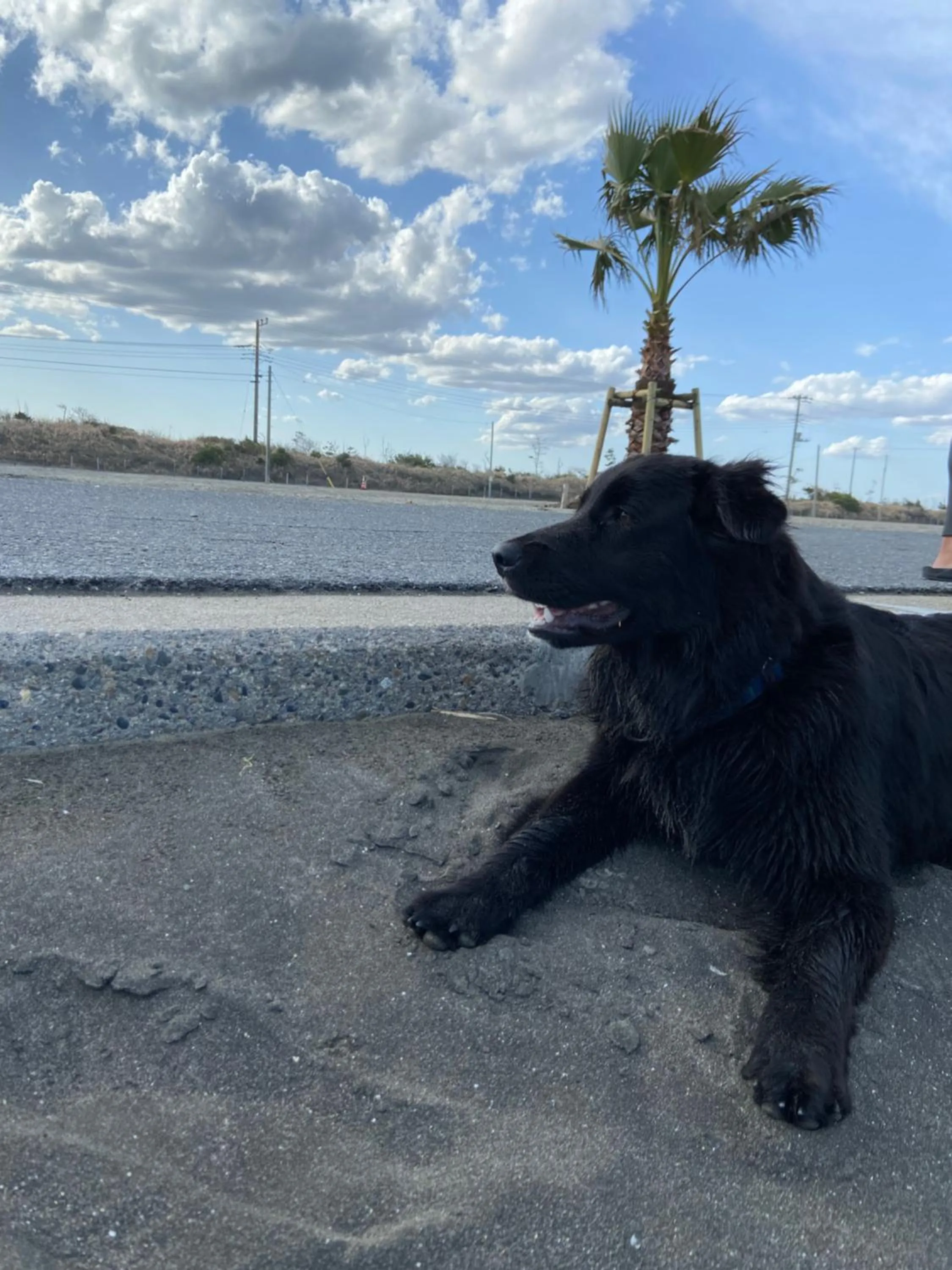 Natural landscape in Drive in Ichinomiya motel