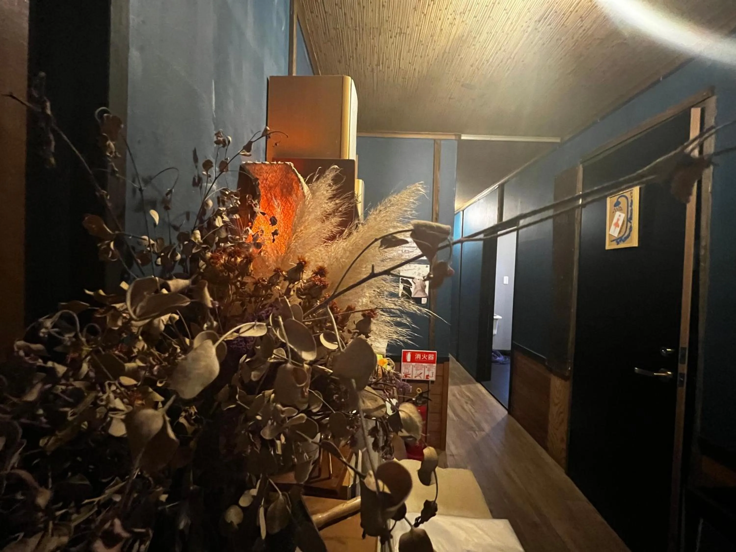 Drive in Ichinomiya motel