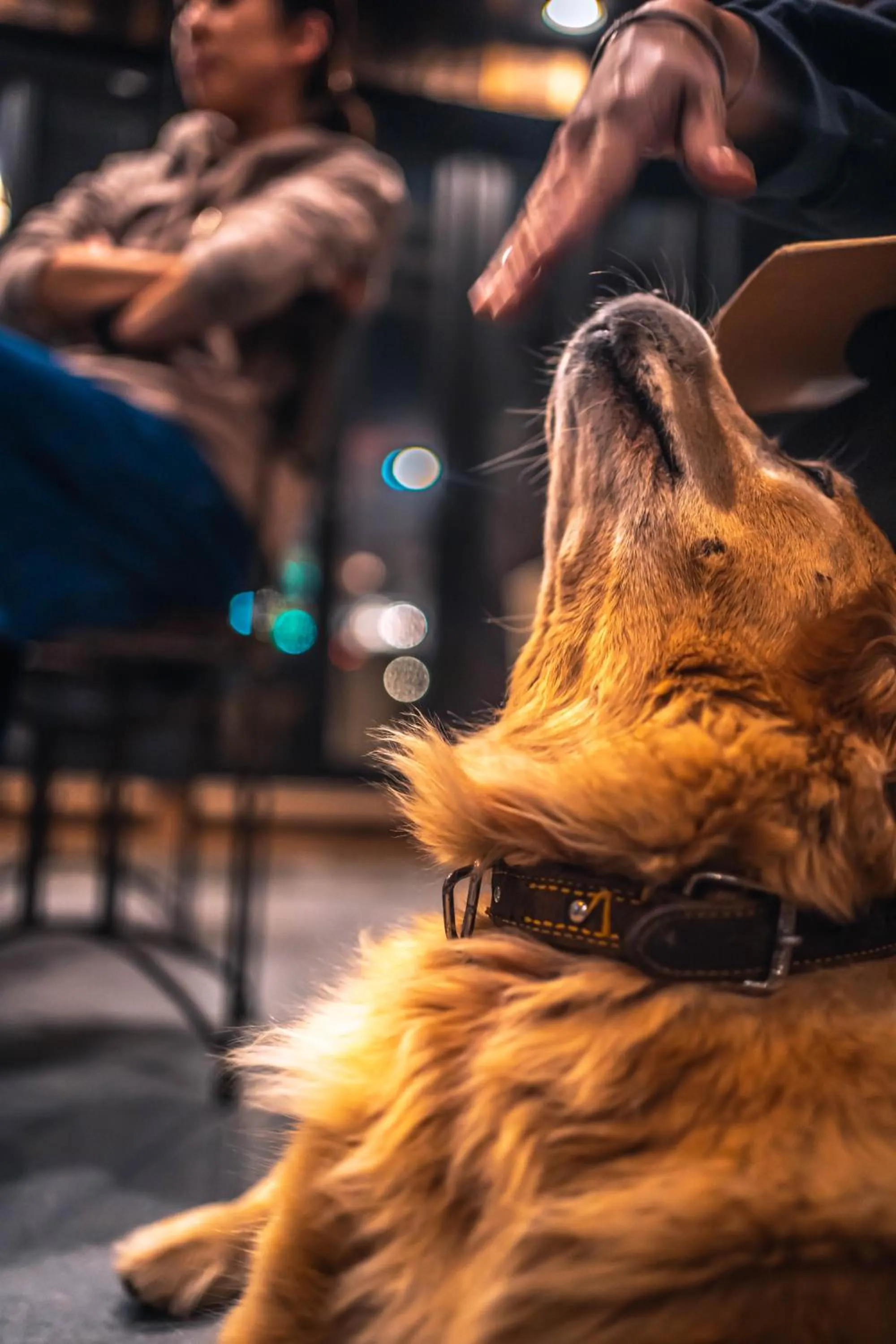 Drive in Ichinomiya motel