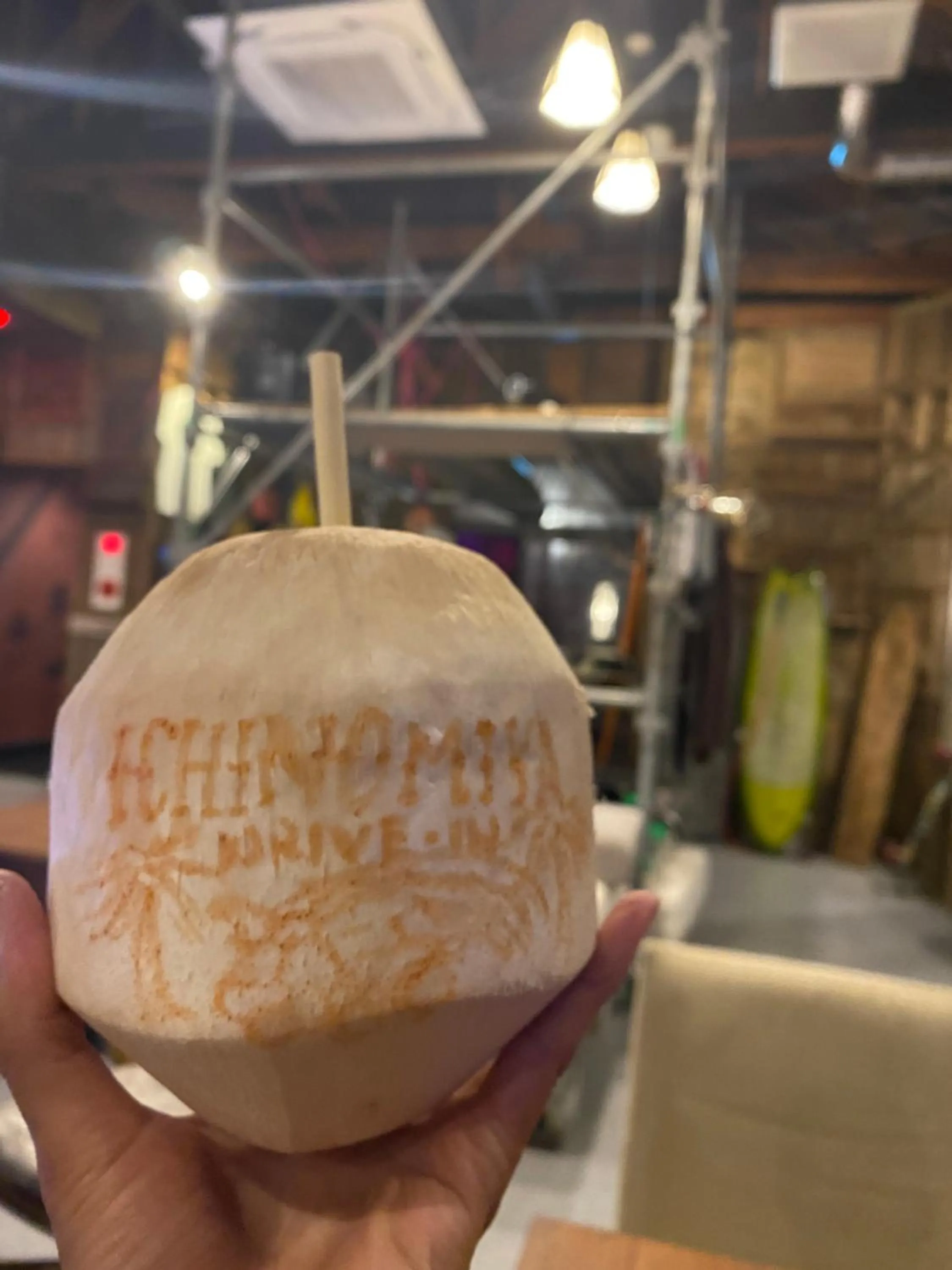 Drive in Ichinomiya motel