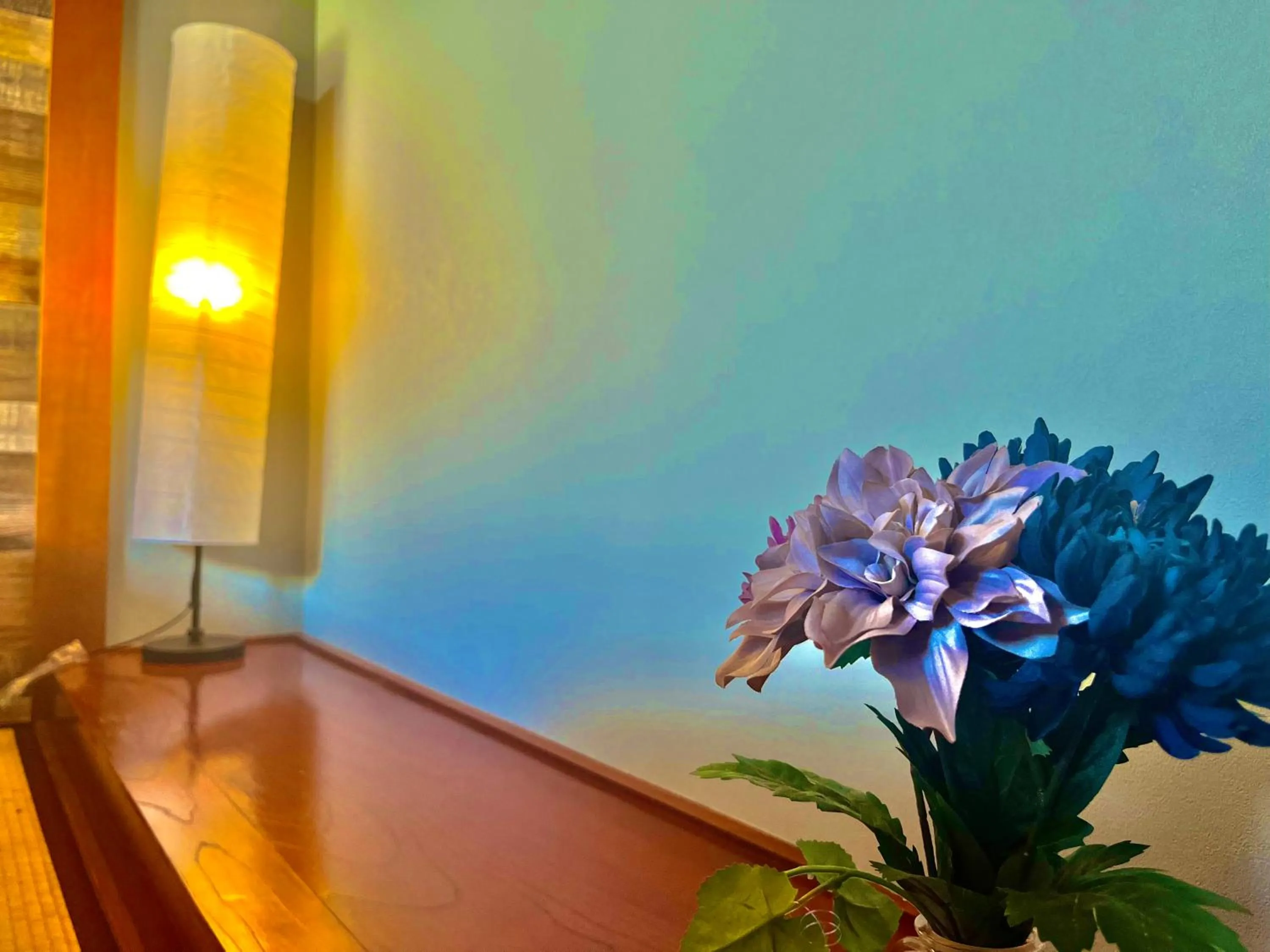 Drive in Ichinomiya motel