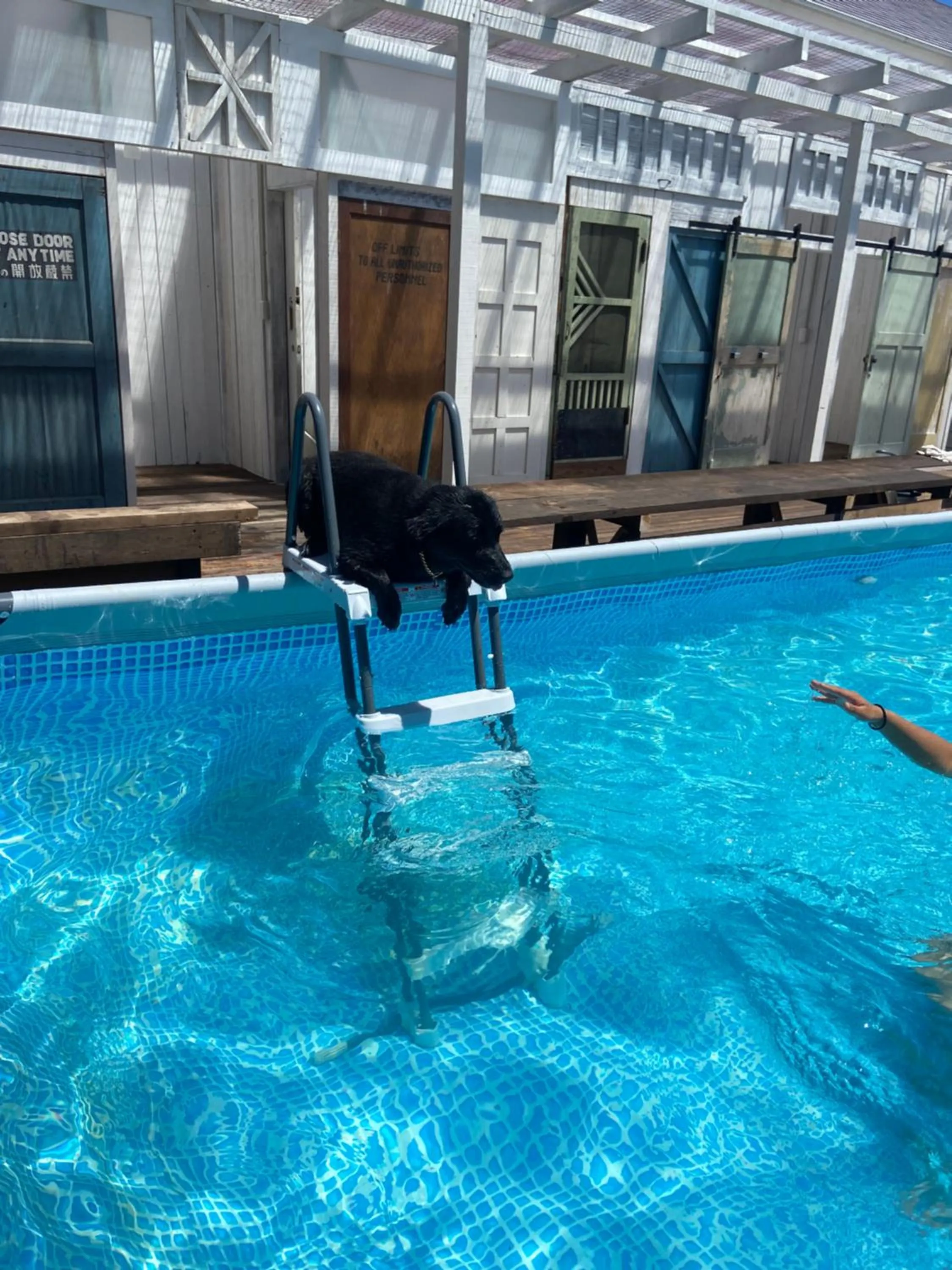 Swimming pool in Drive in Ichinomiya motel