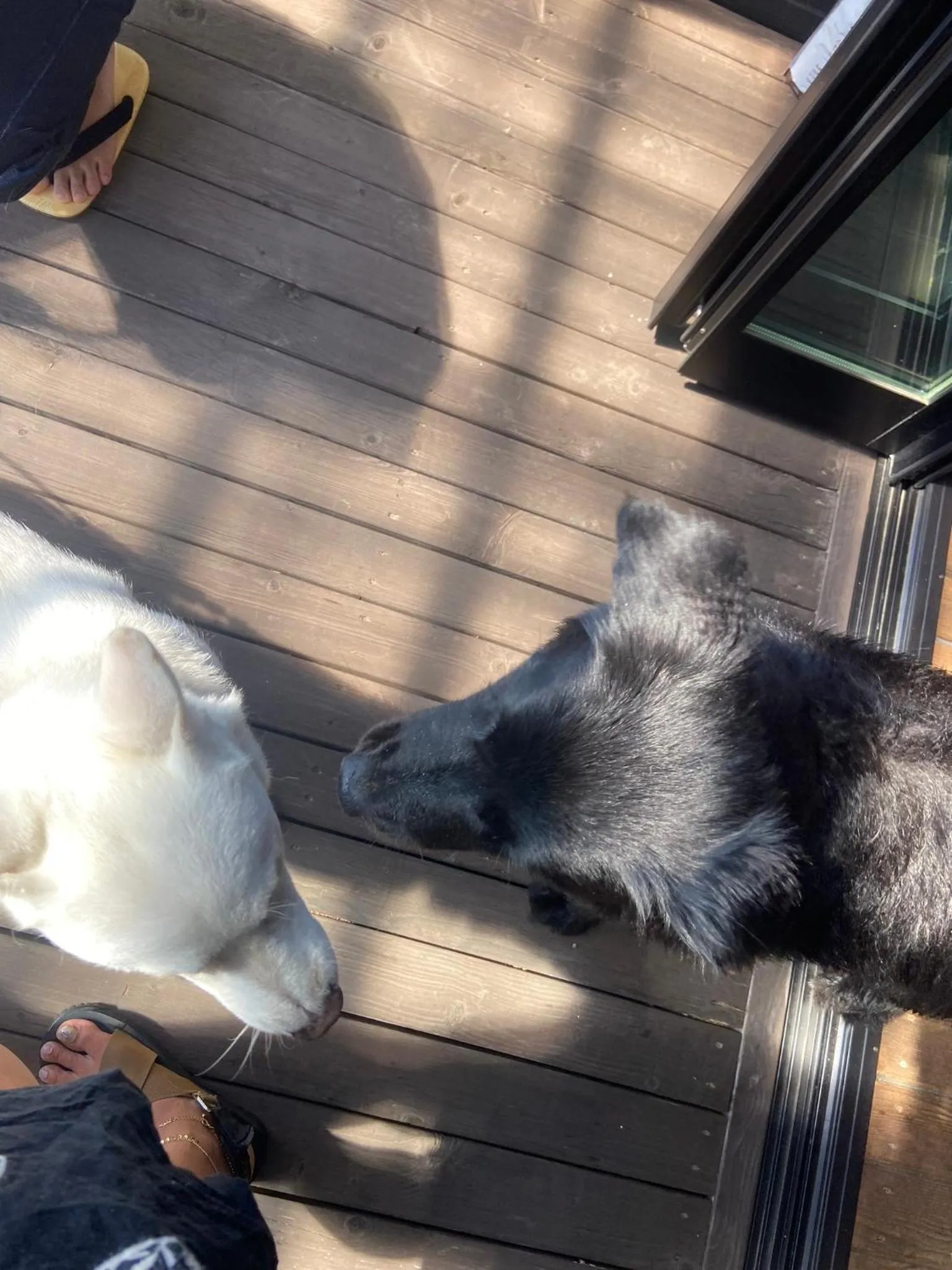 Drive in Ichinomiya motel