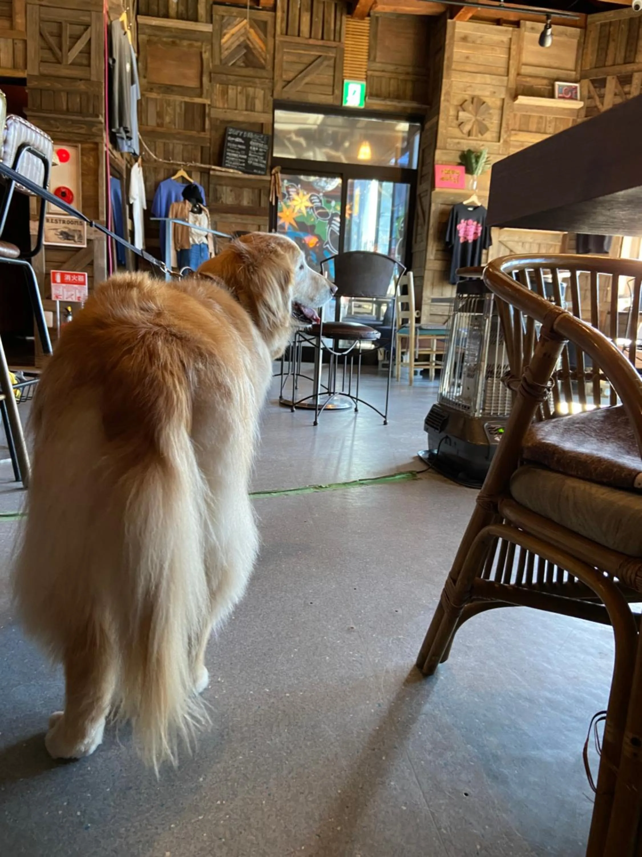 Drive in Ichinomiya motel