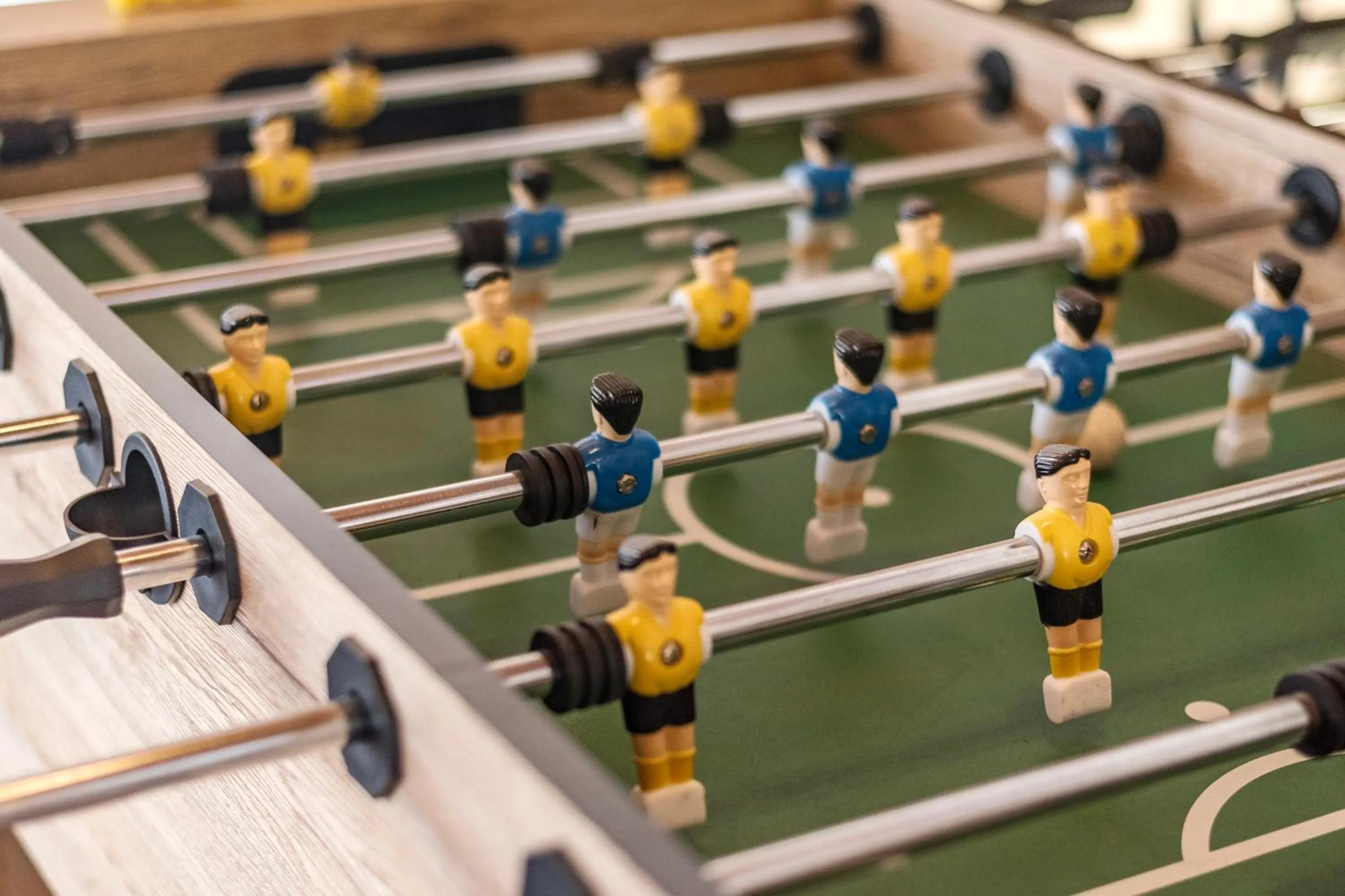 Activities in SaffronStays Casa Del Palms - 8BR luxury pool villa with gazebo, pickleball, bar & lawns near Nagaon Beach