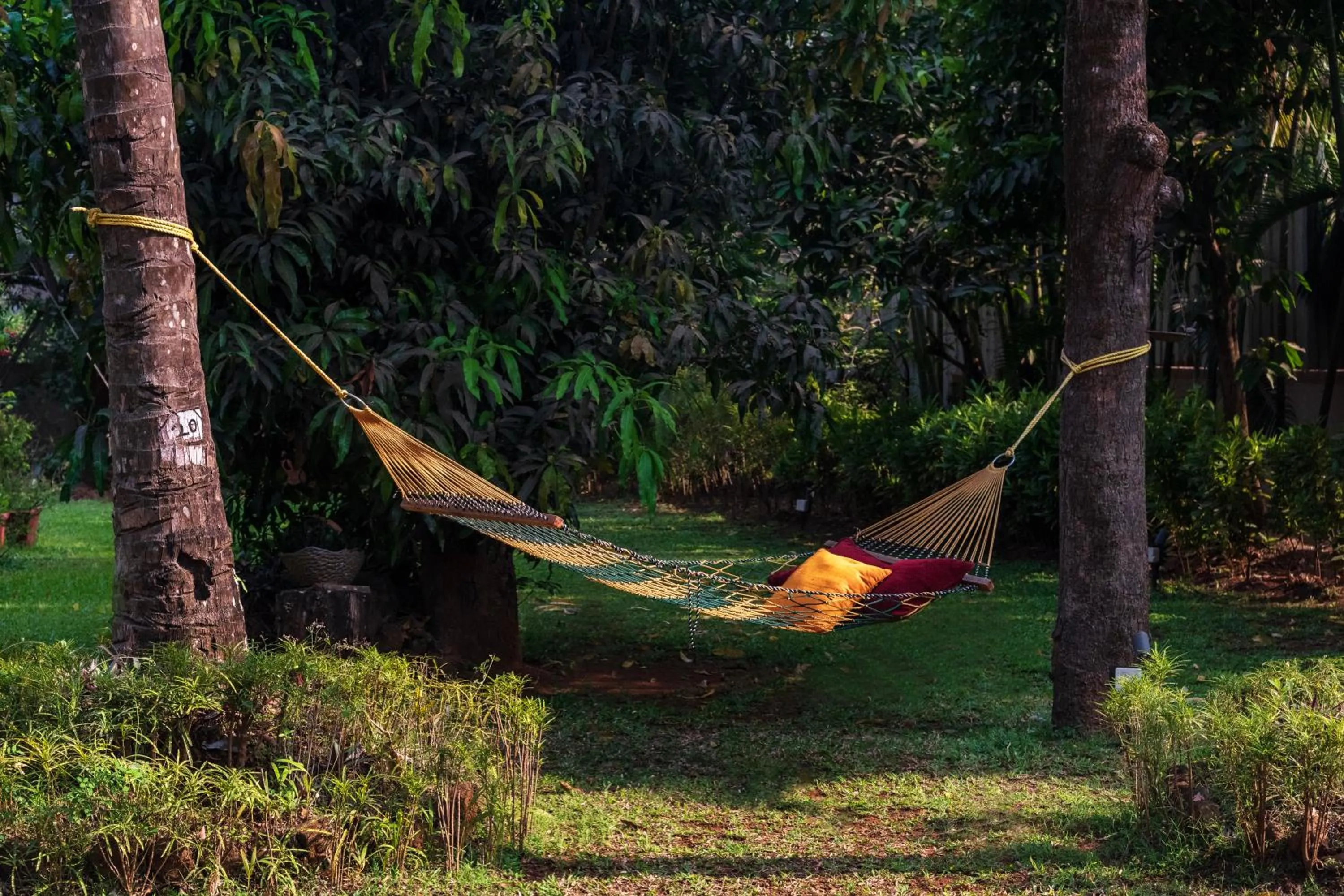 Day in SaffronStays Casa Del Palms - 8BR luxury pool villa with gazebo, pickleball, bar & lawns near Nagaon Beach