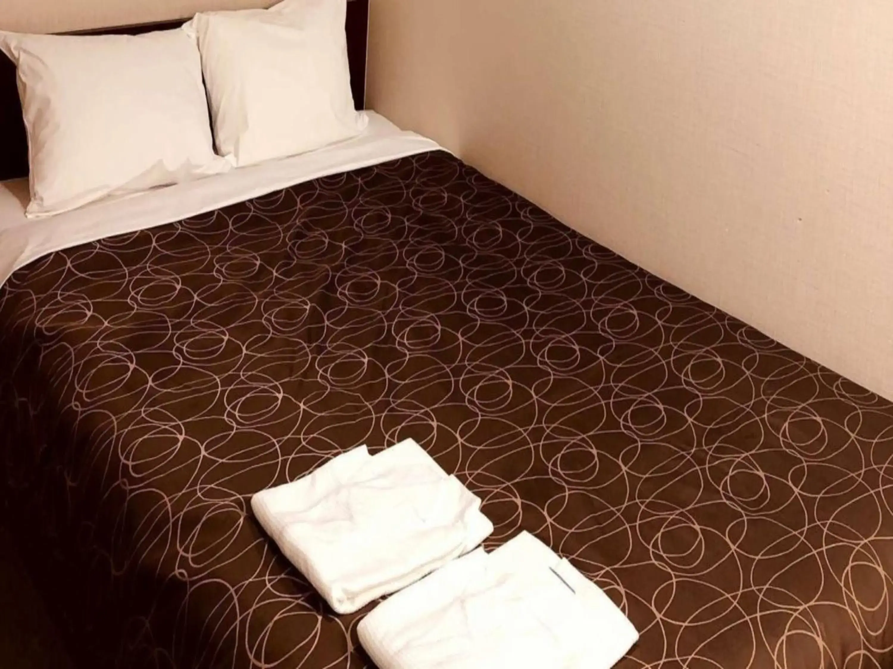 Double Room - single occupancy in Business Hotel Kawashima Double Room - single occupancy in Business Hotel Kawashima