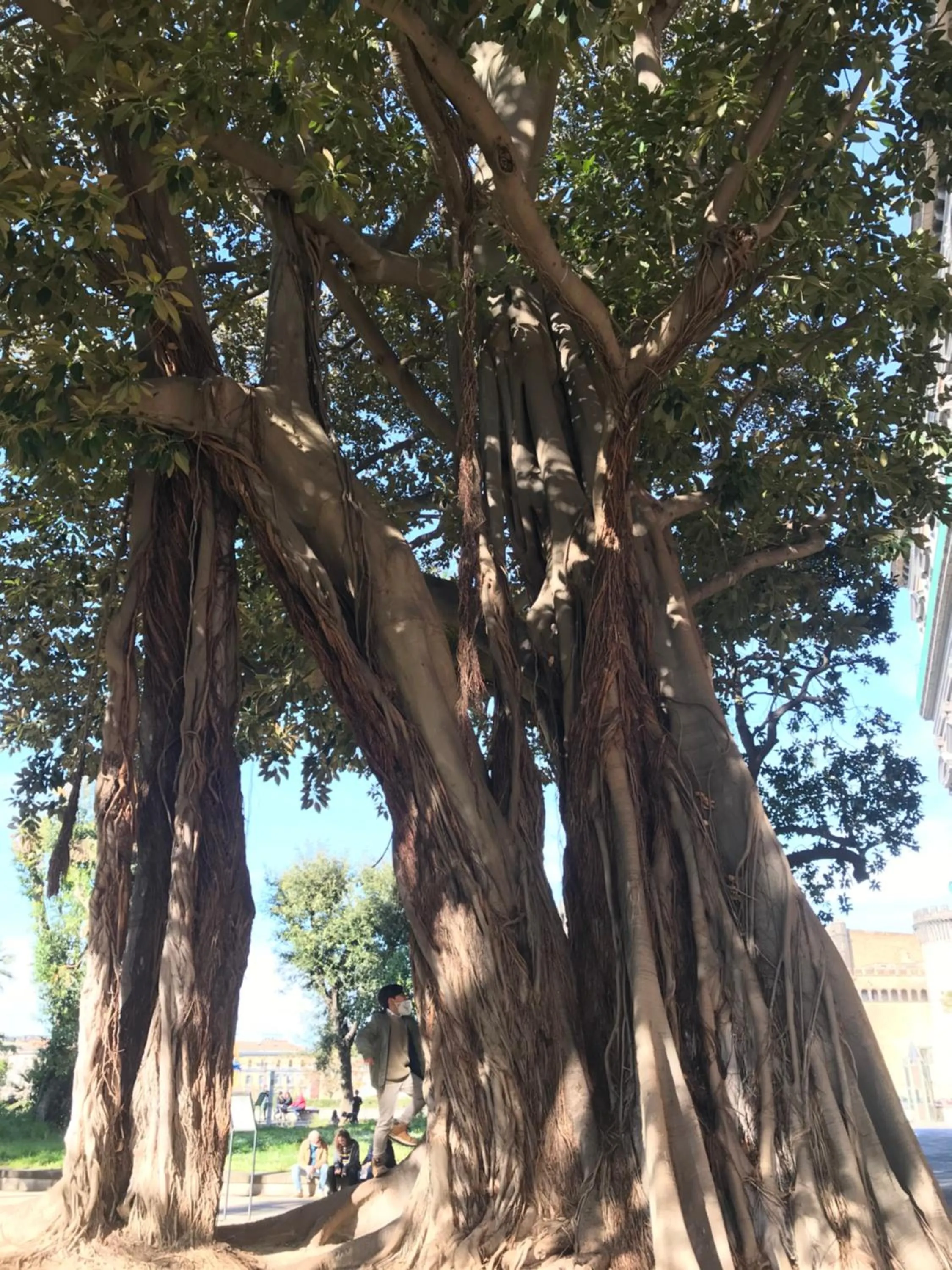 Natural landscape in International Naples