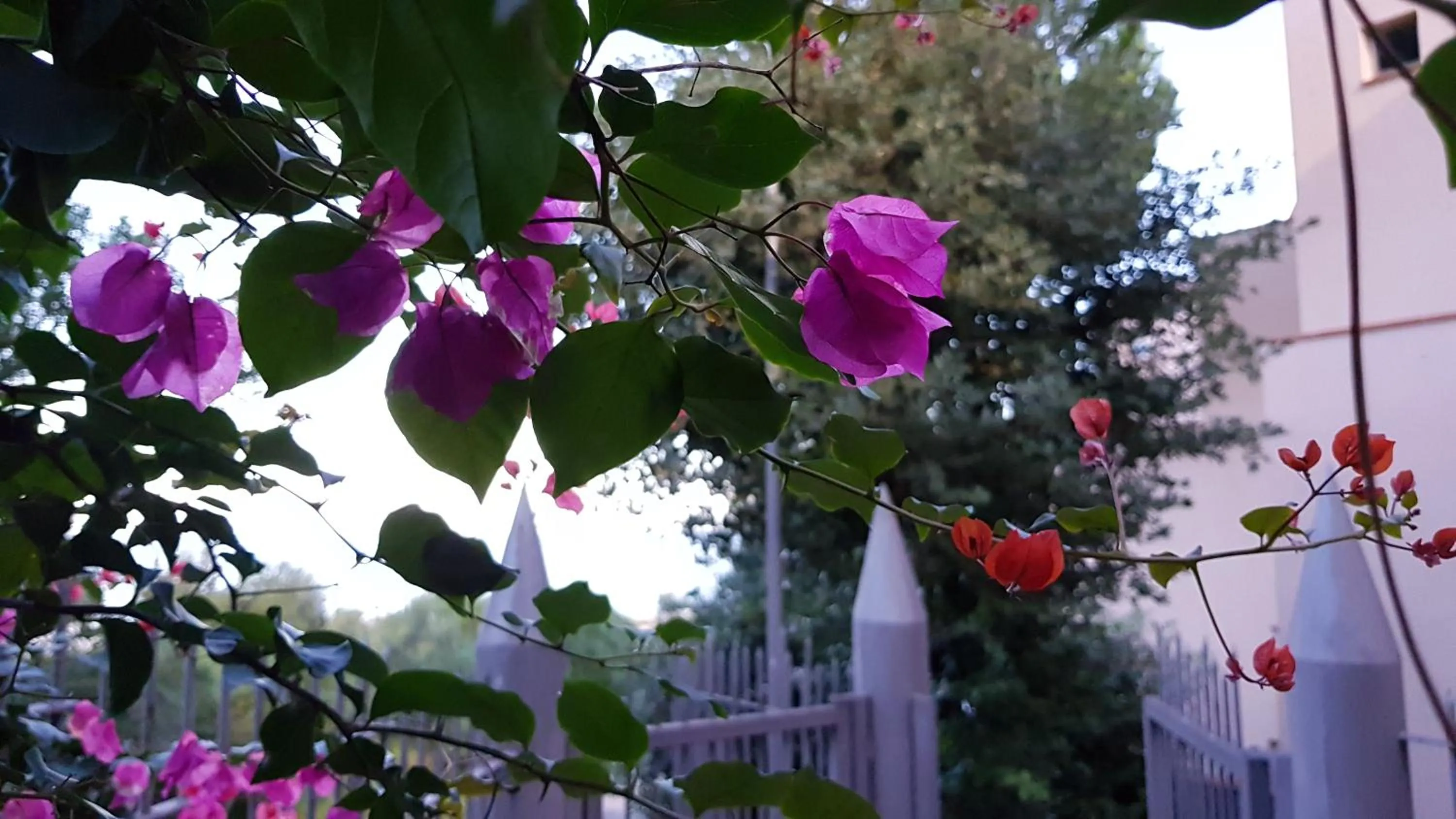 Garden in Addaura Village e Congressi