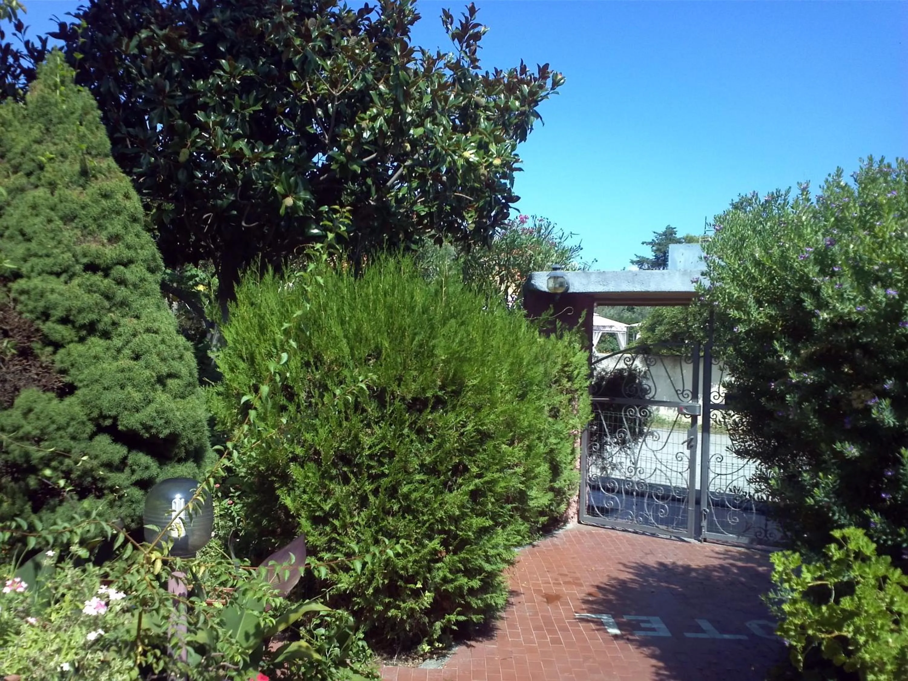 Garden in Hotel Abbaruja