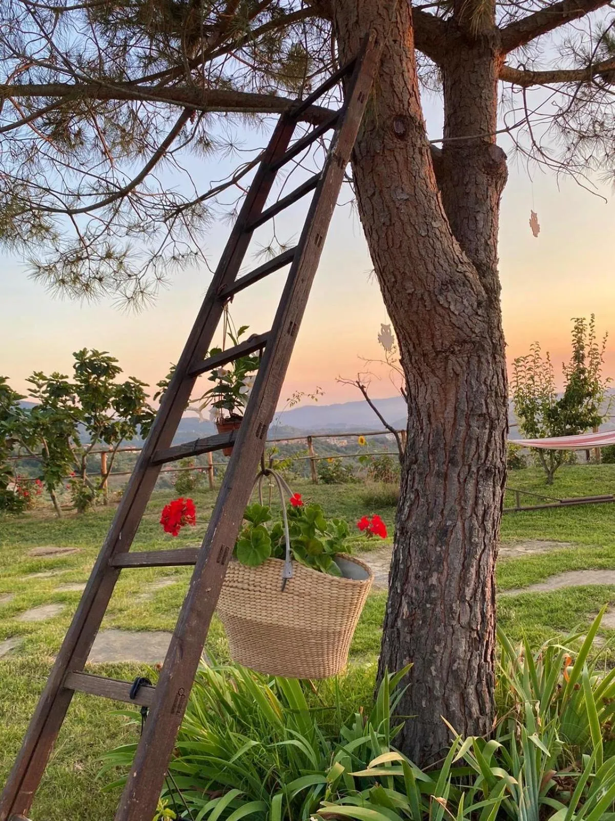 Residence Tenuta Della Torre