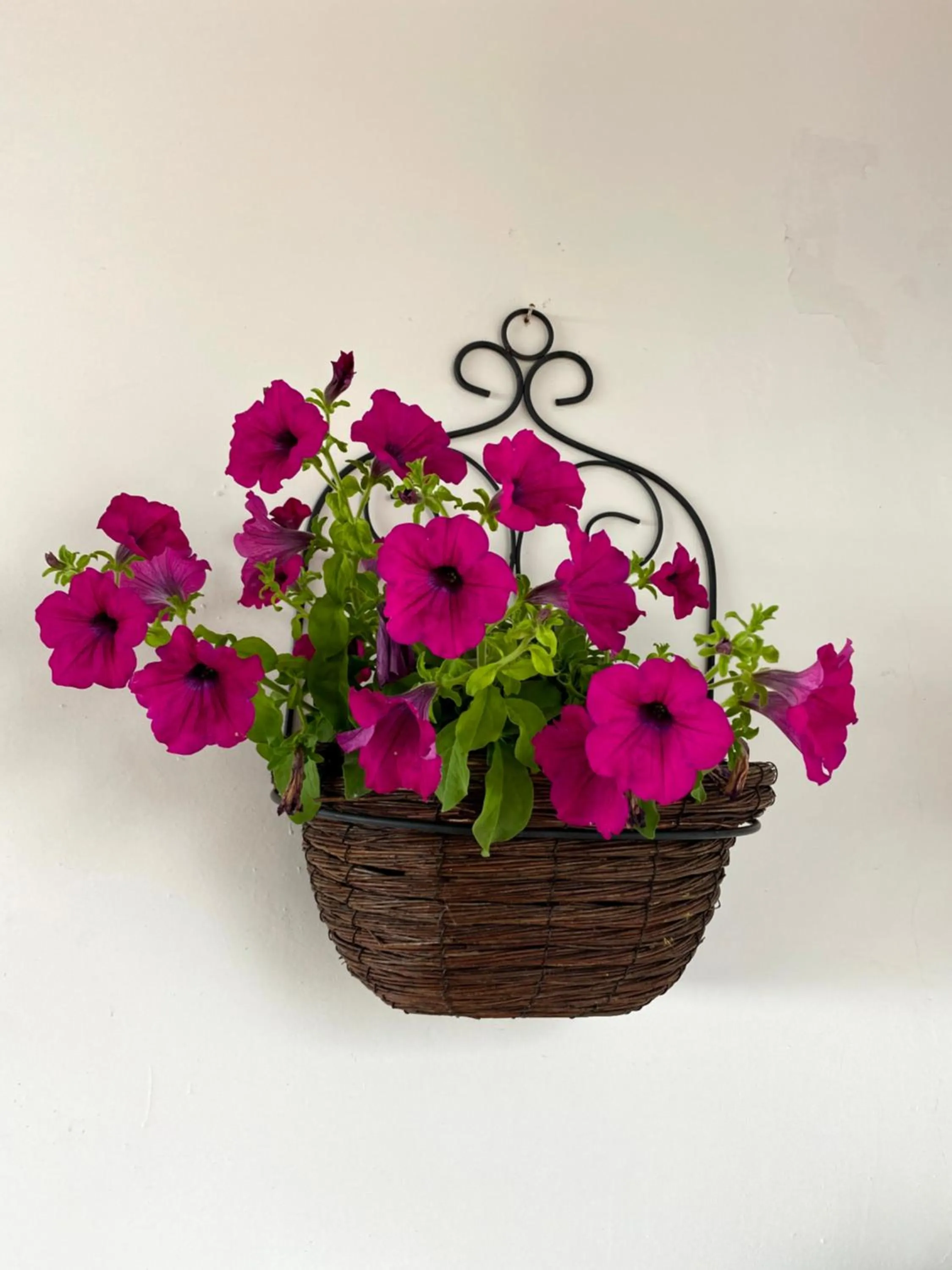 Residence Tenuta Della Torre