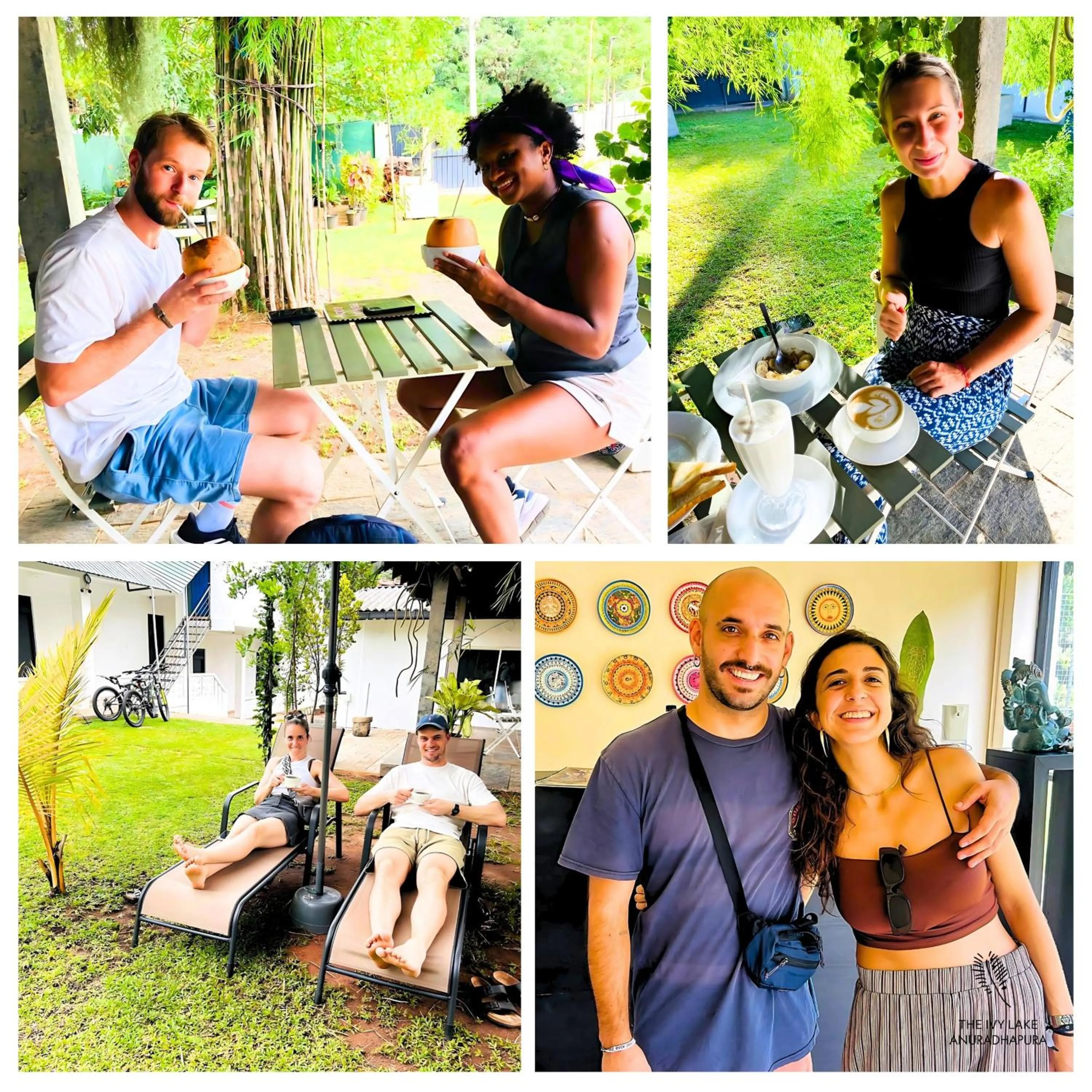 Restaurant/places to eat in The Ivy Lake