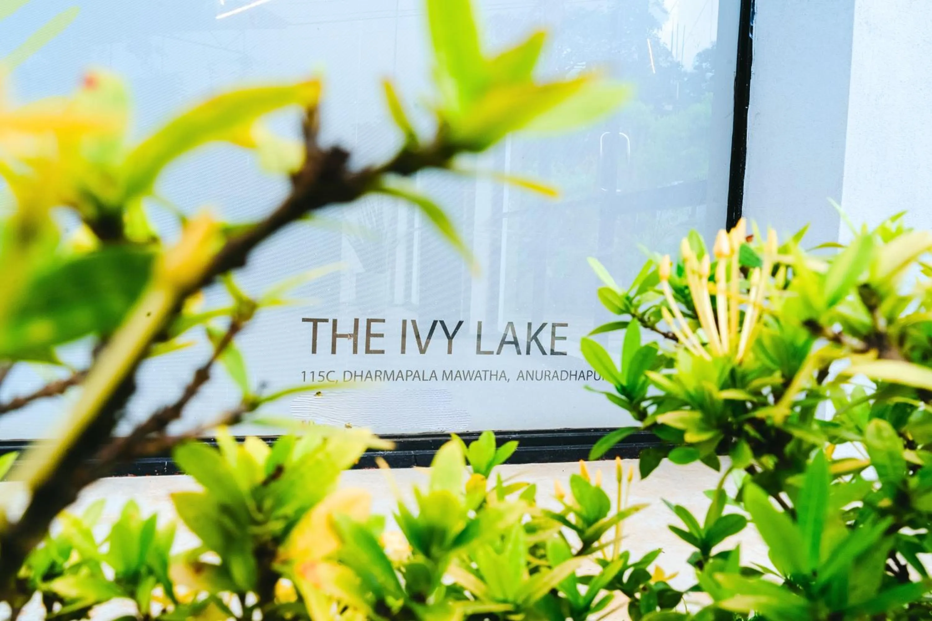 Property building in The Ivy Lake