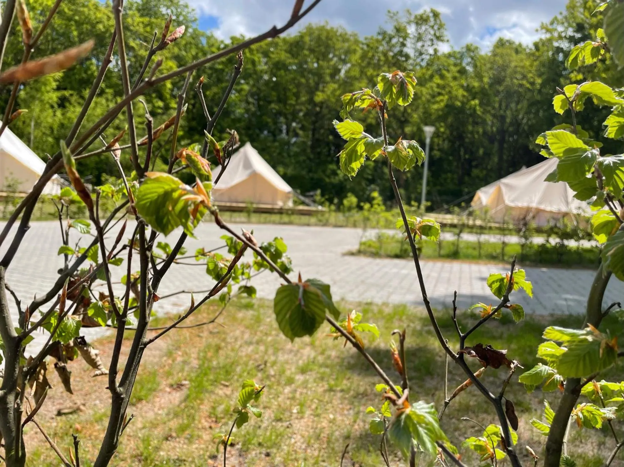 Natural landscape in SØGAARDEN - Hotel & SøCamp