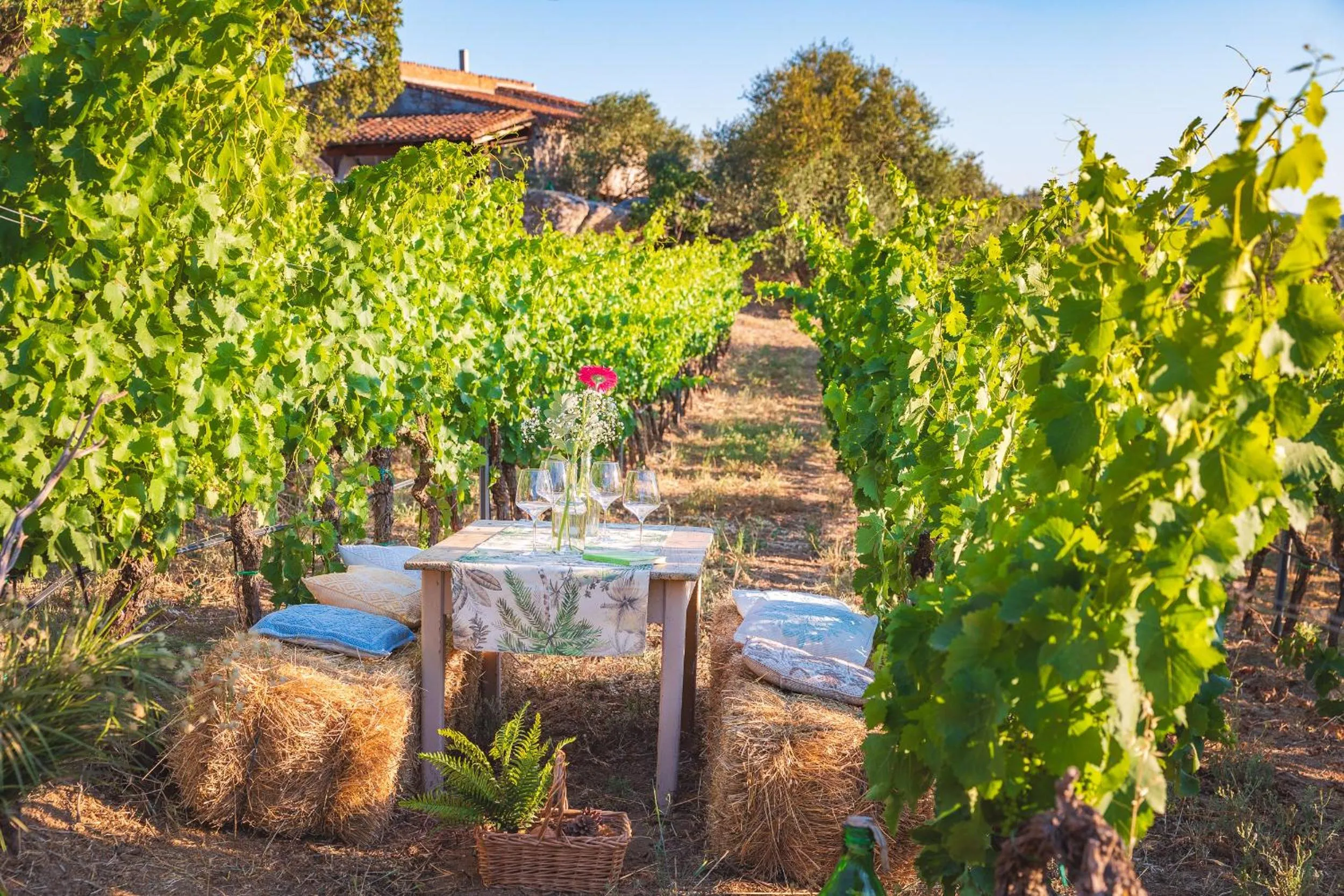 Hotel Ristorante S'Astore