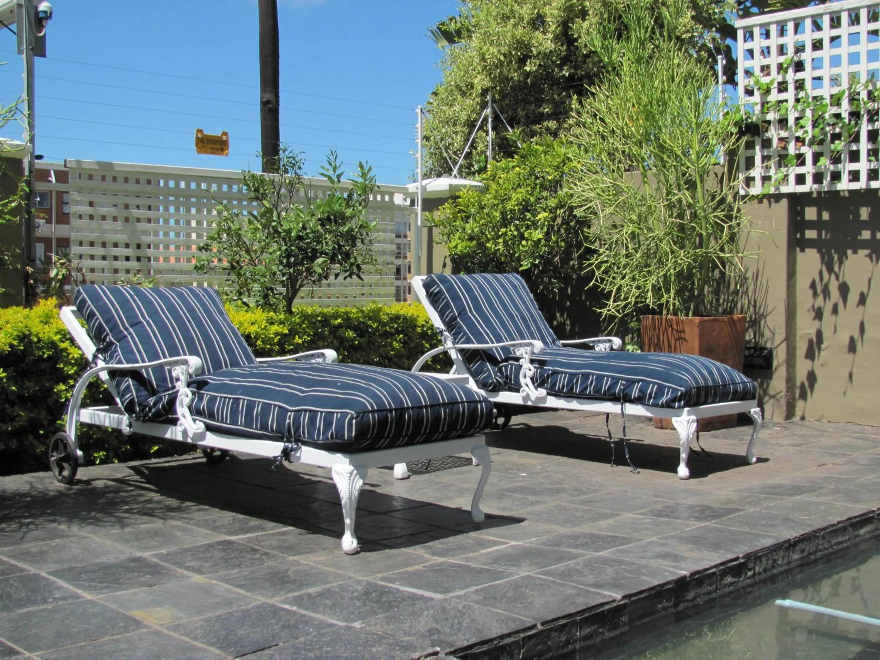 Activities in Conifer Beach House