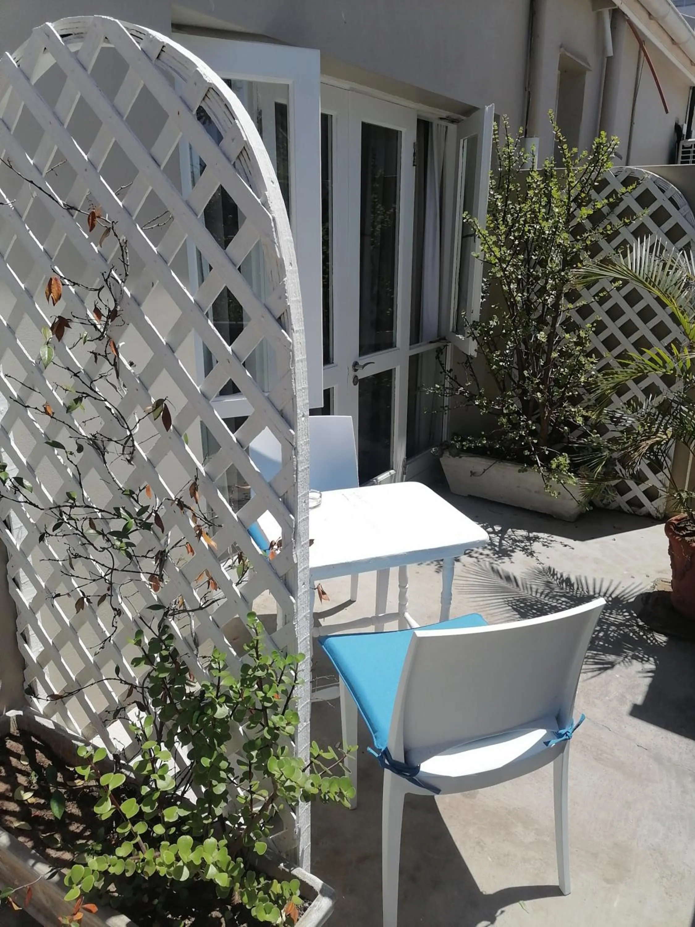 Patio in Conifer Beach House