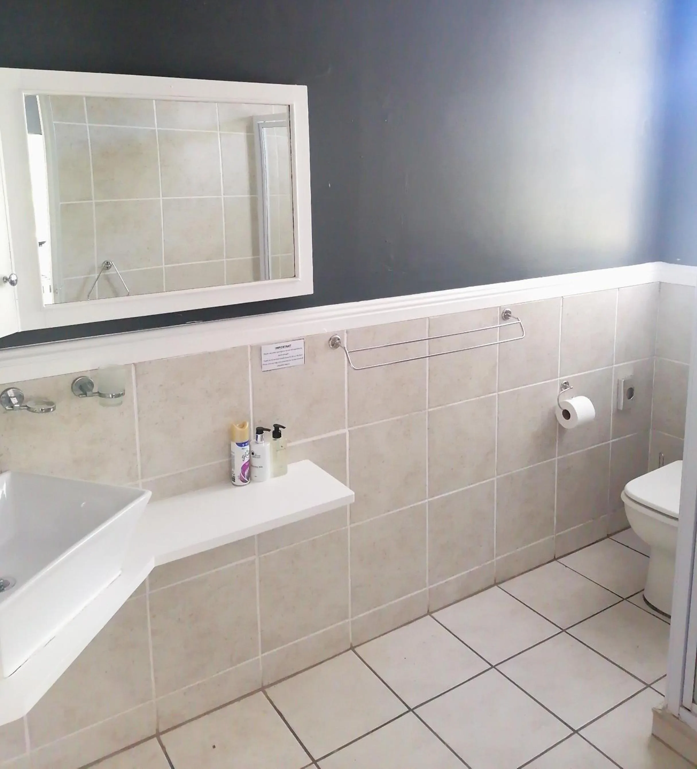 Toilet in Conifer Beach House