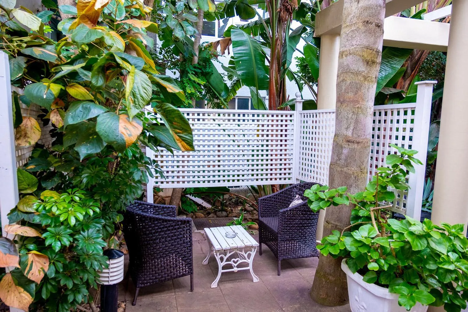 Patio in Conifer Beach House