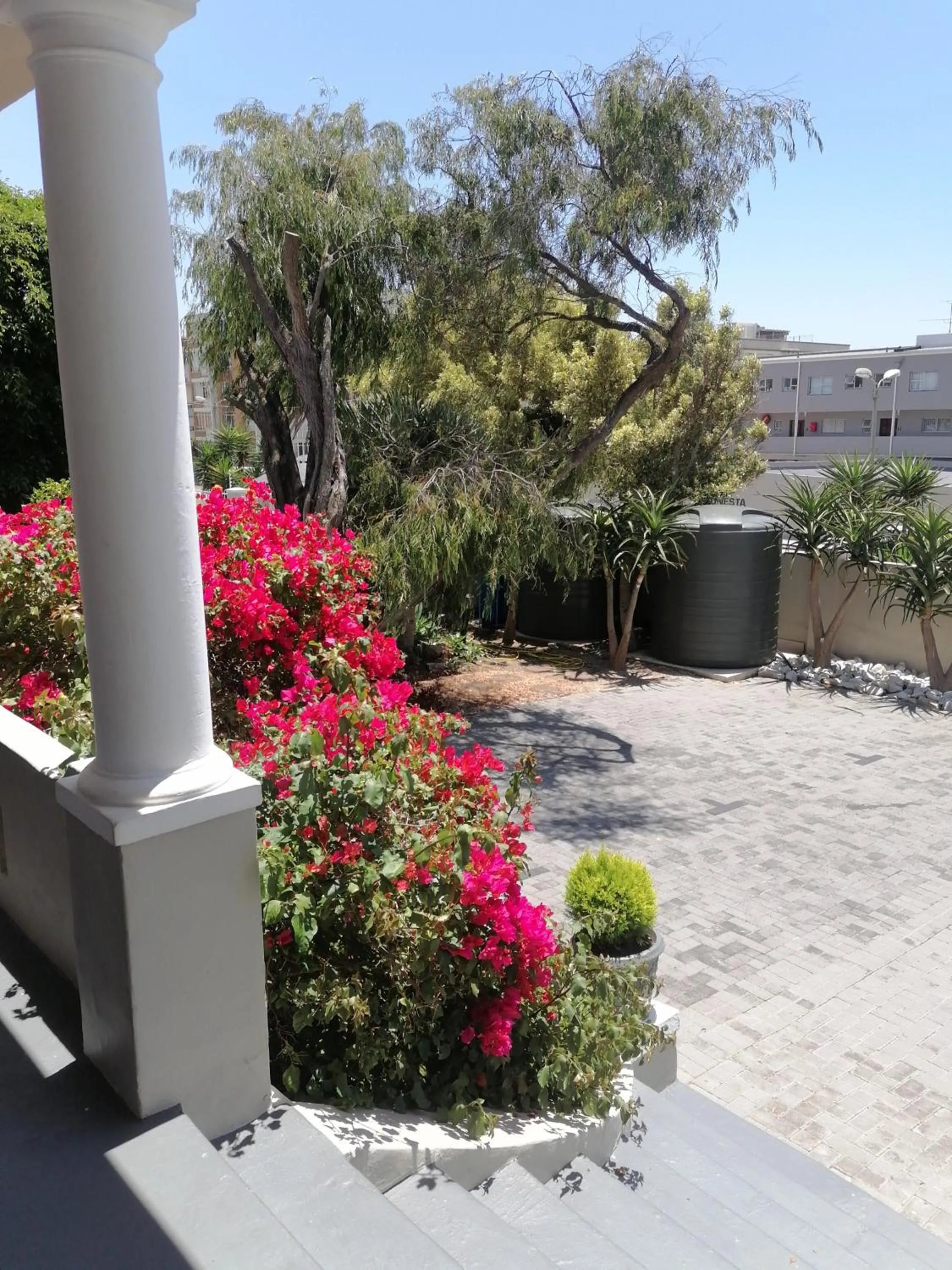 Day in Conifer Beach House