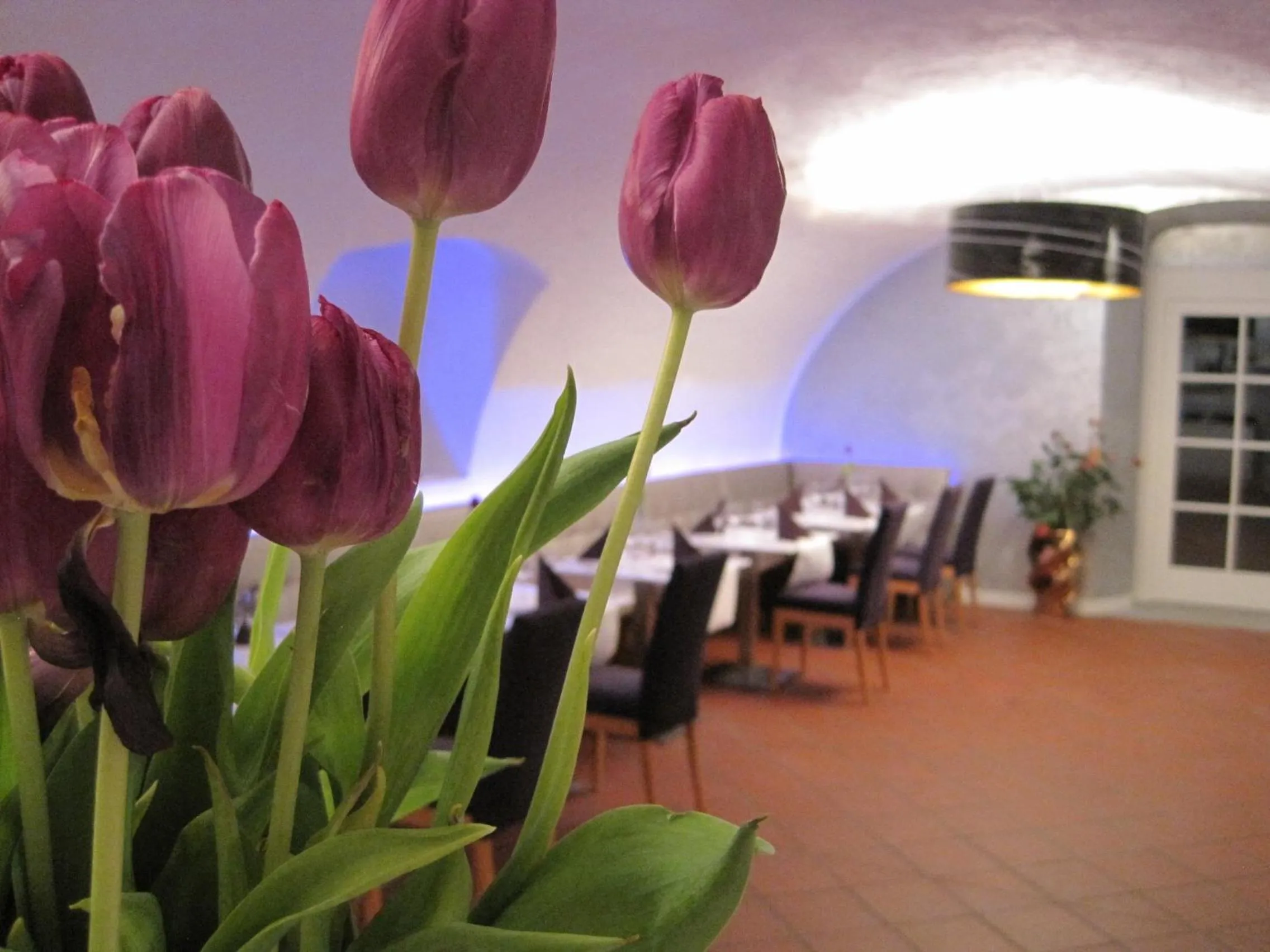 Other in Hotel Lekker